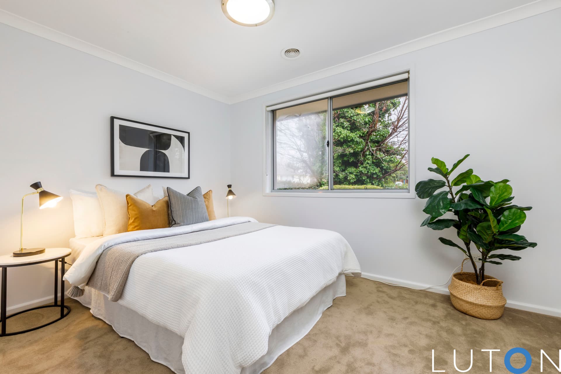 6 May Street, Downer ACT 2602, Downer - Thumbnail 6