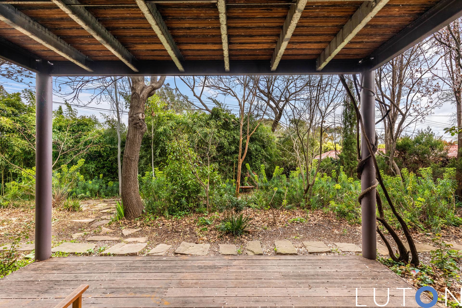 31 Collingridge Street, Weston ACT 2611, Weston - Image 1