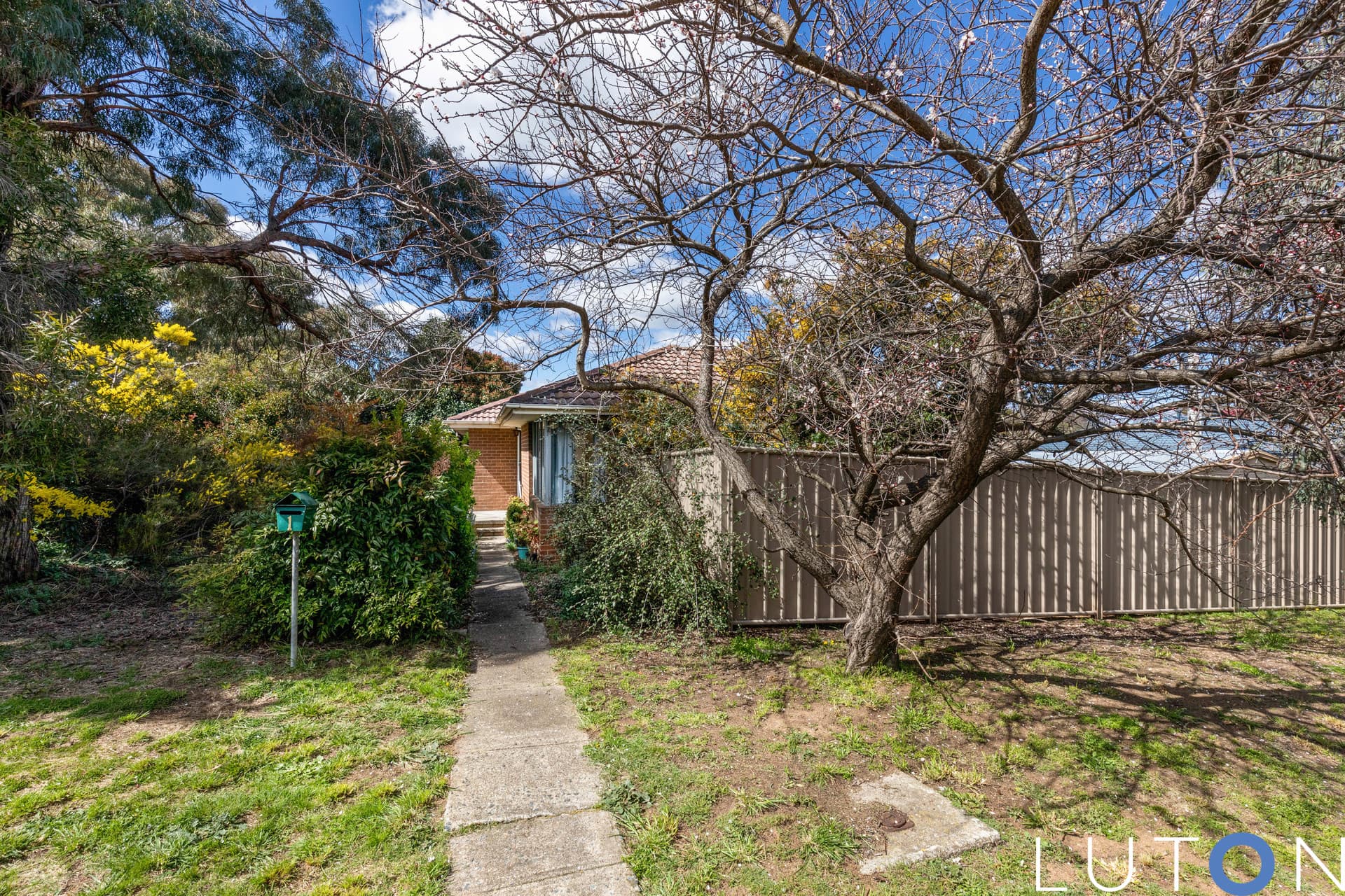 1 McLeod Place, Kambah ACT 2902, Kambah - Thumbnail 8