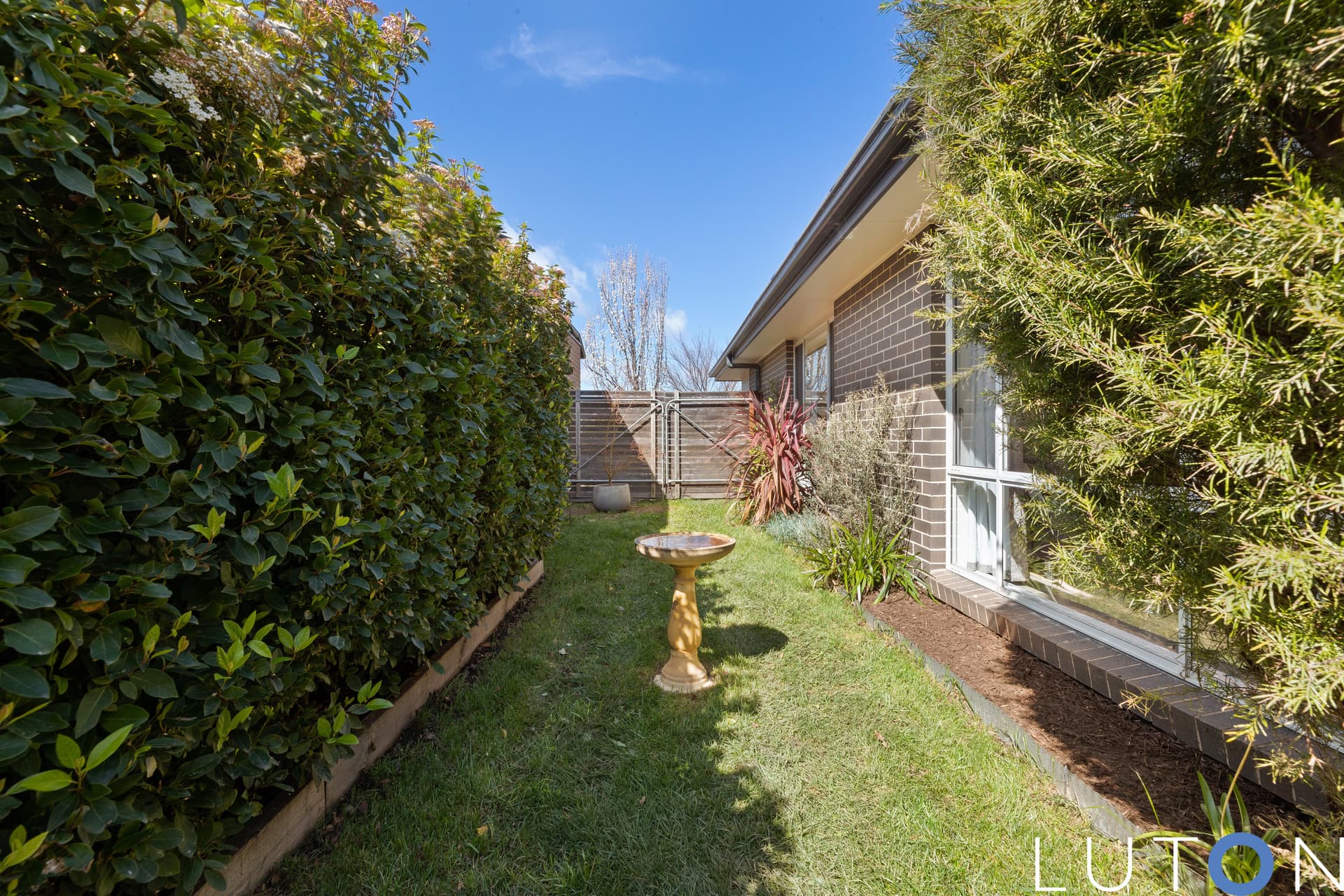 23 Ken Tribe Street, Coombs ACT 2611, Coombs - Thumbnail 8