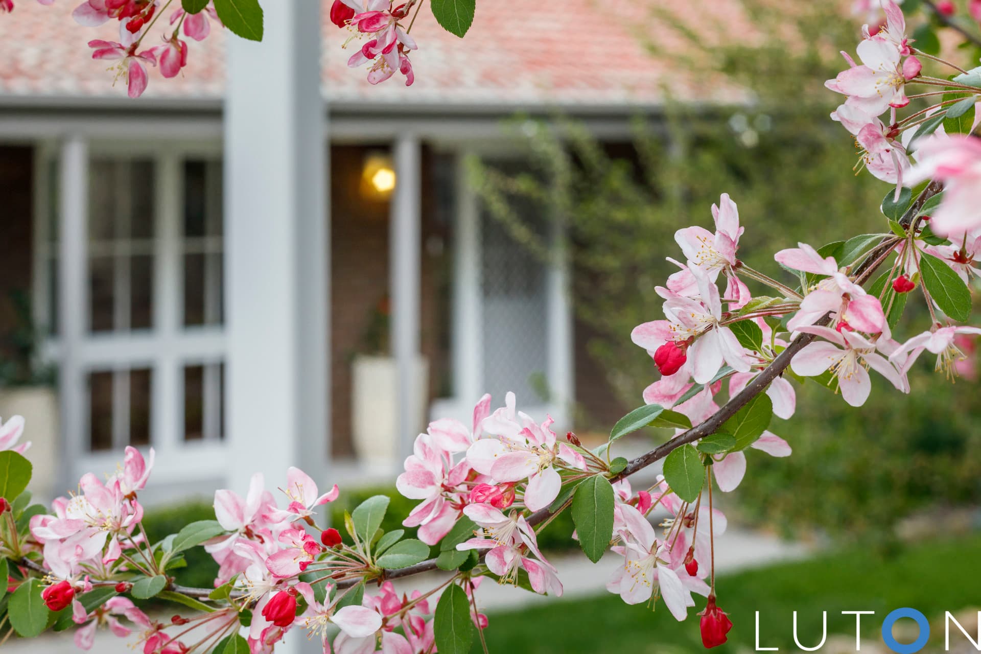 3 Salsola Street, Rivett ACT 2611, Rivett - Thumbnail 8