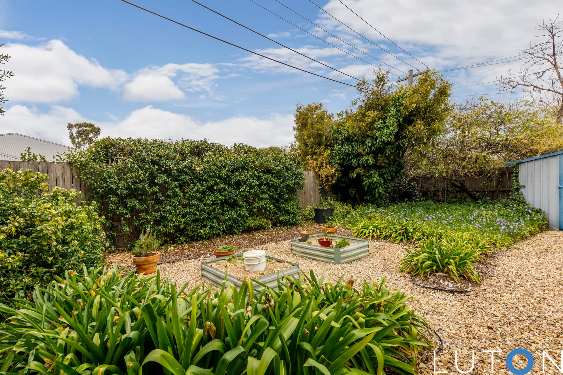 3 Salsola Street, Rivett ACT 2611, Rivett - Thumbnail 6