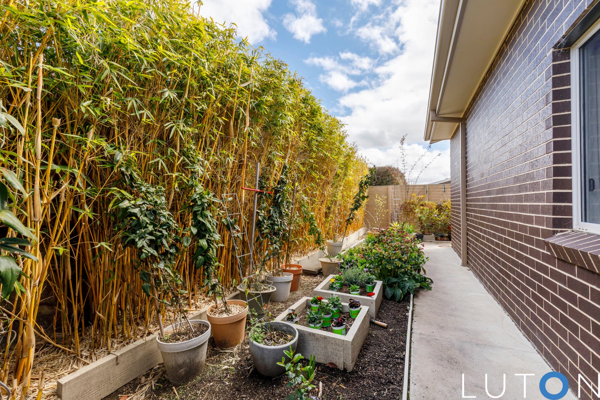 15/50 Peter Cullen Way, Wright ACT 2611, Wright - Thumbnail 7