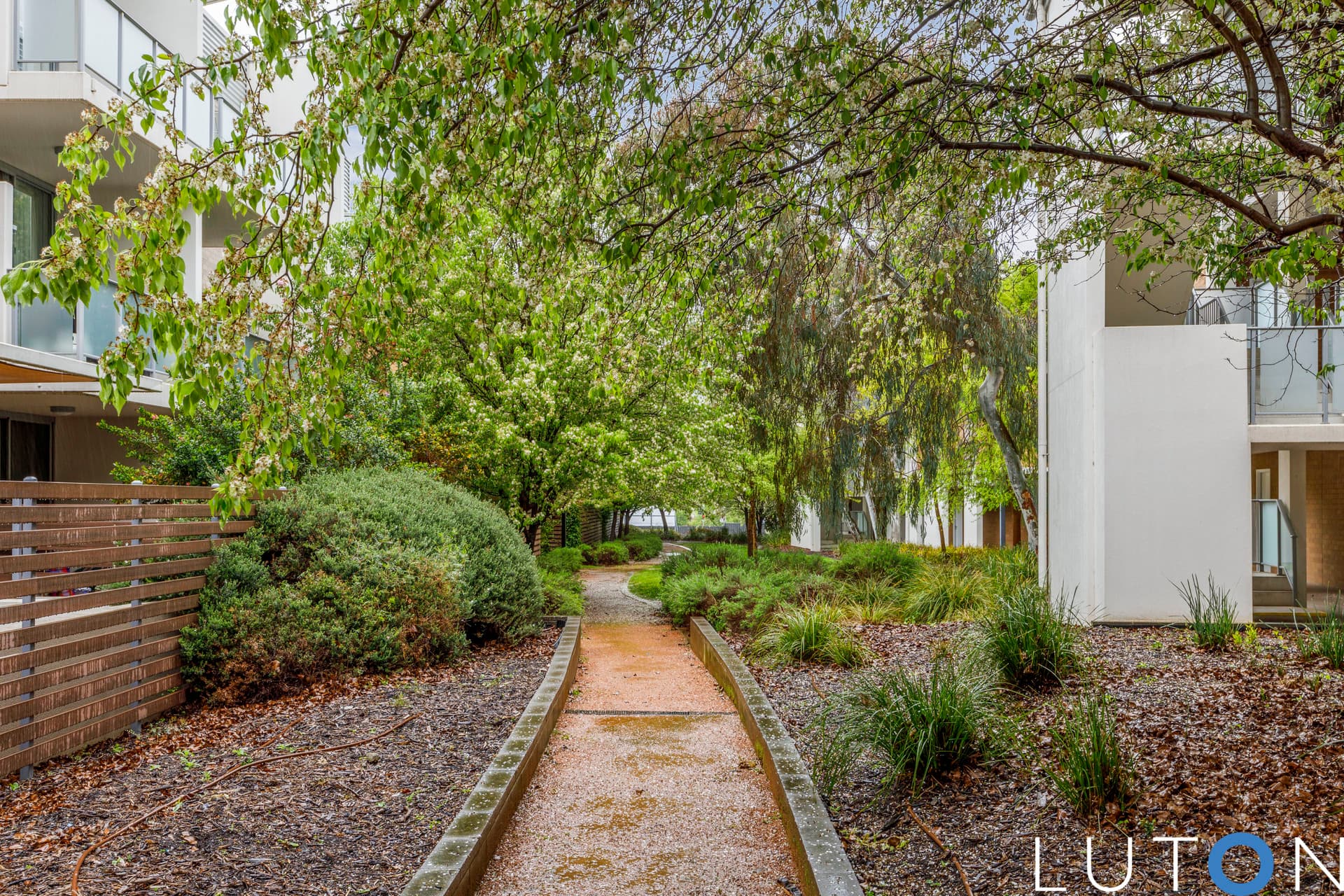 6/116 Easty Street, Phillip ACT 2606, Phillip - Thumbnail 6