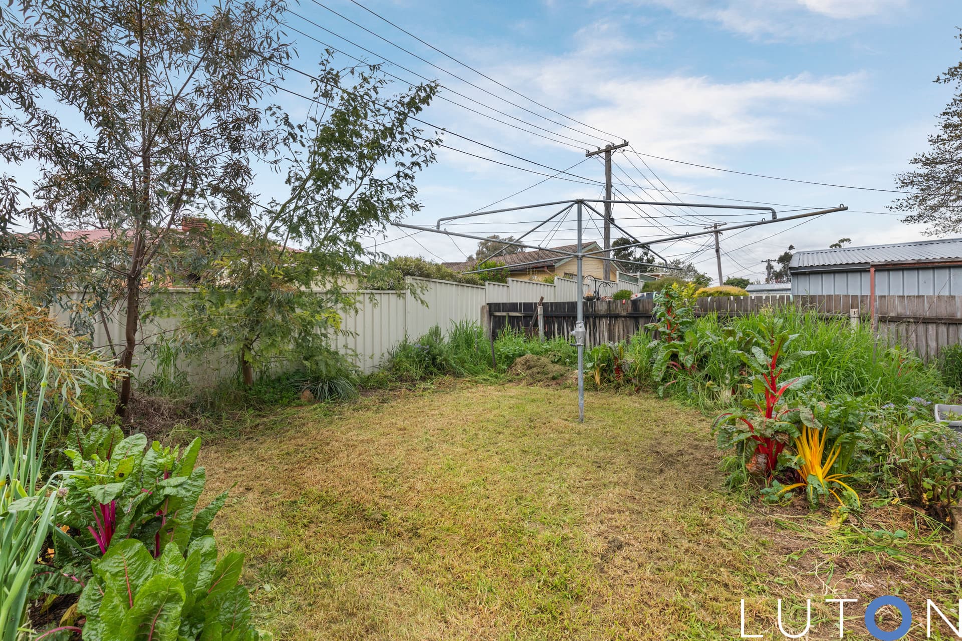 12 Sheehy Street, Evatt ACT 2617, Evatt - Thumbnail 7