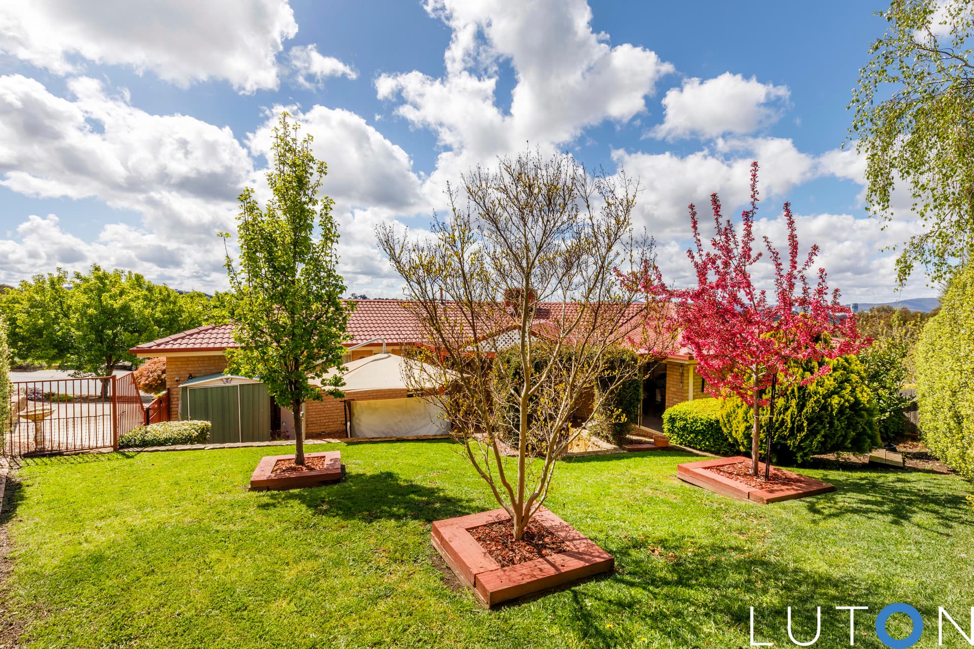 2 Ahmatt Street, Ngunnawal ACT 2913, Ngunnawal - Thumbnail 5