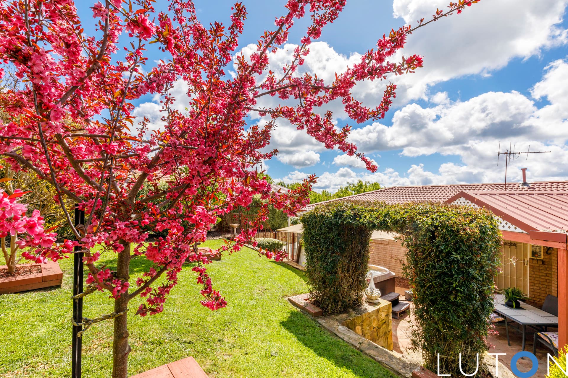2 Ahmatt Street, Ngunnawal ACT 2913, Ngunnawal - Thumbnail 6