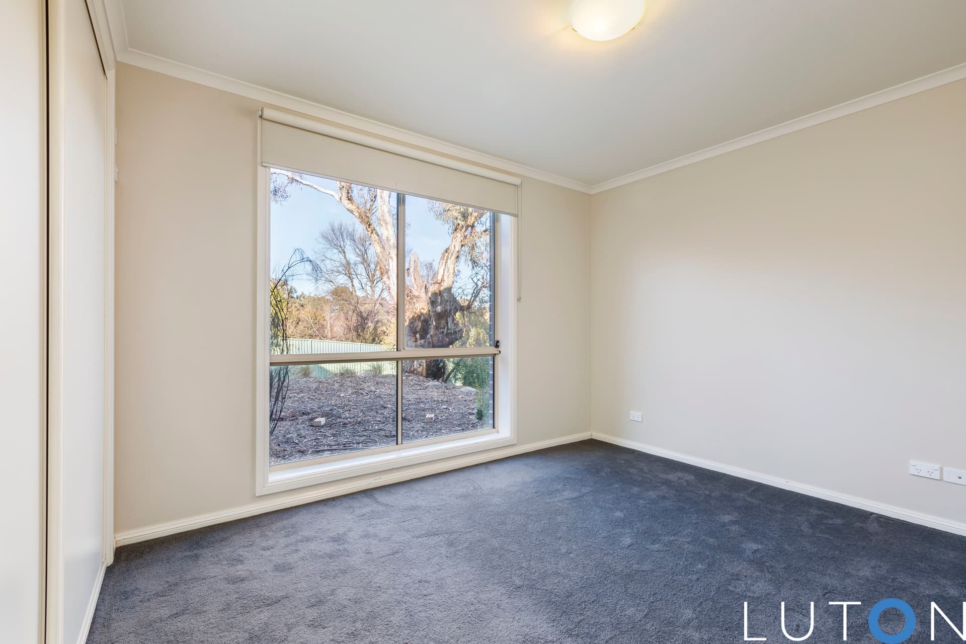11/37 Ainsworth Street, Mawson ACT 2607, Mawson - Thumbnail 2