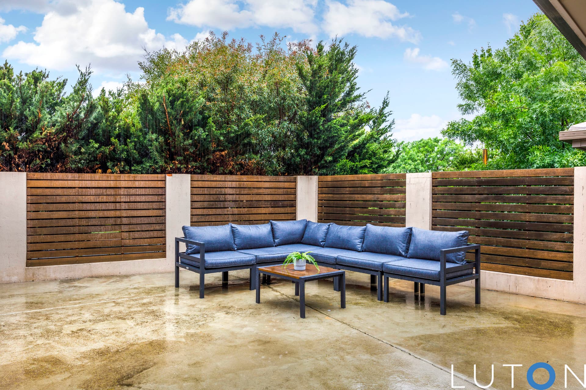 26 Pavonia Street, Rivett ACT 2611, Rivett - Thumbnail 5