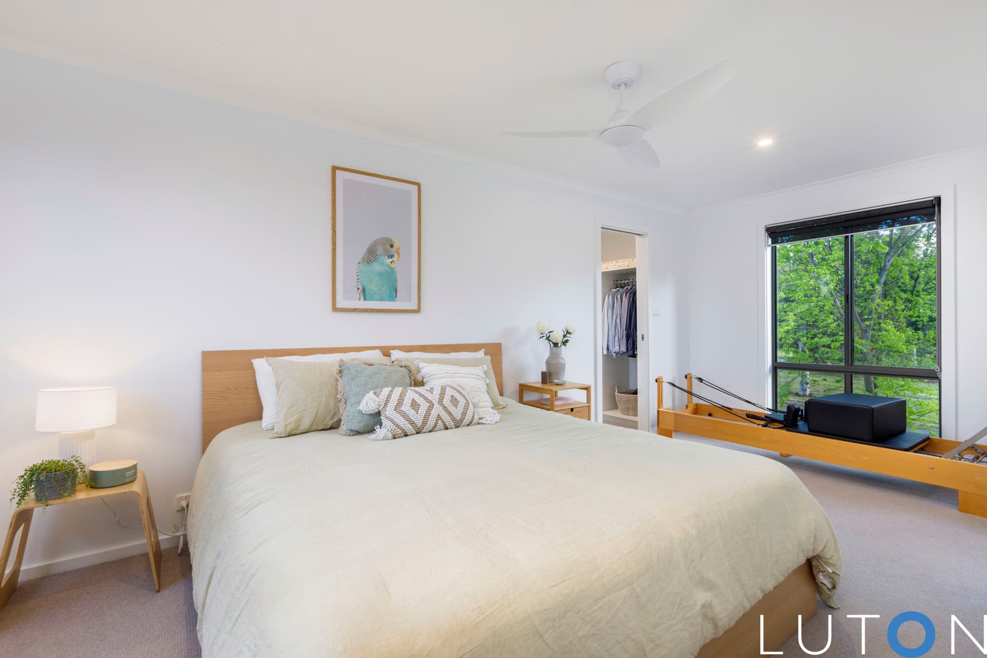 317 Anthony Rolfe Avenue, Gungahlin ACT 2912, Gungahlin - Image 1