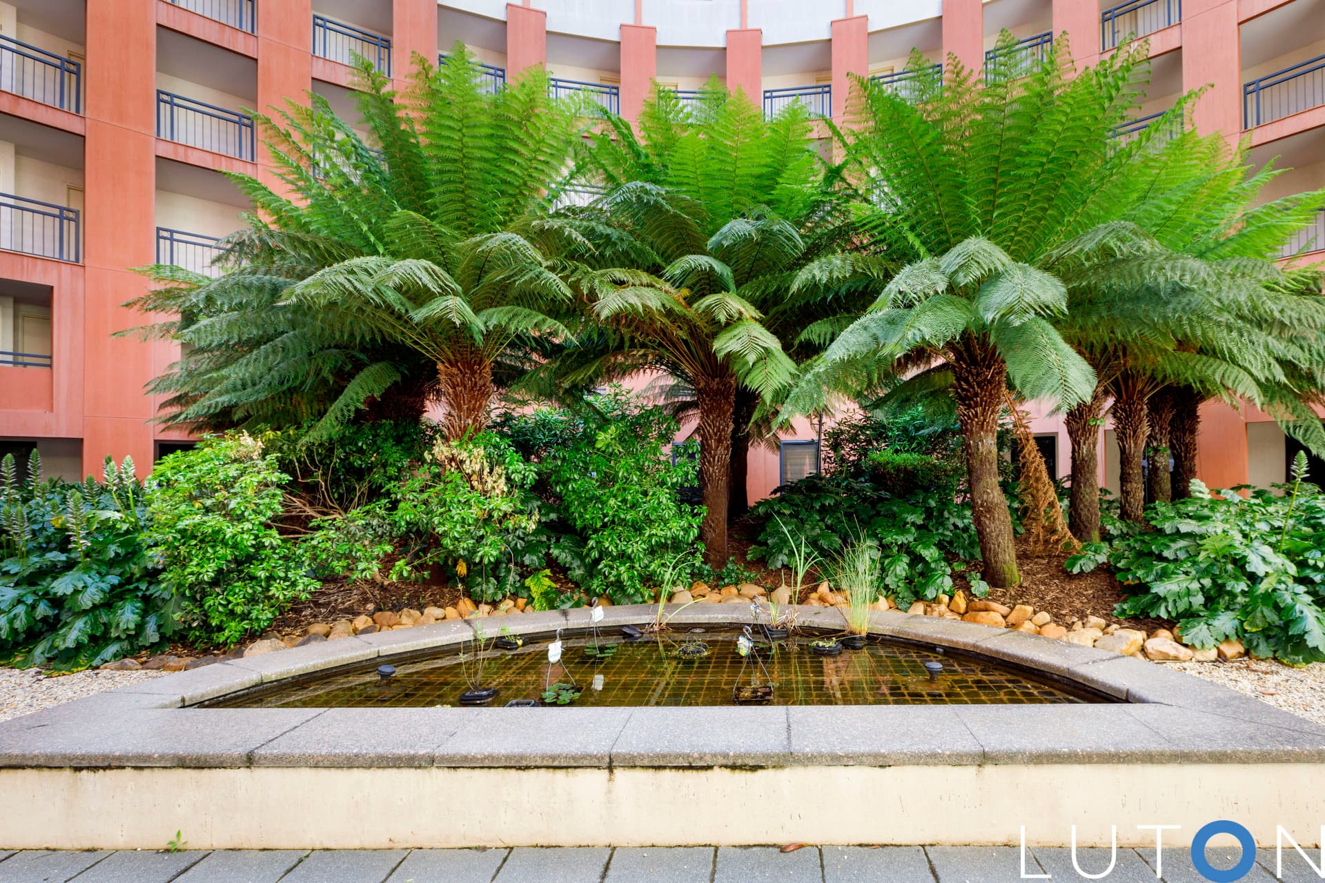 35/66 Allara Street, City ACT 2601, City - Thumbnail 7