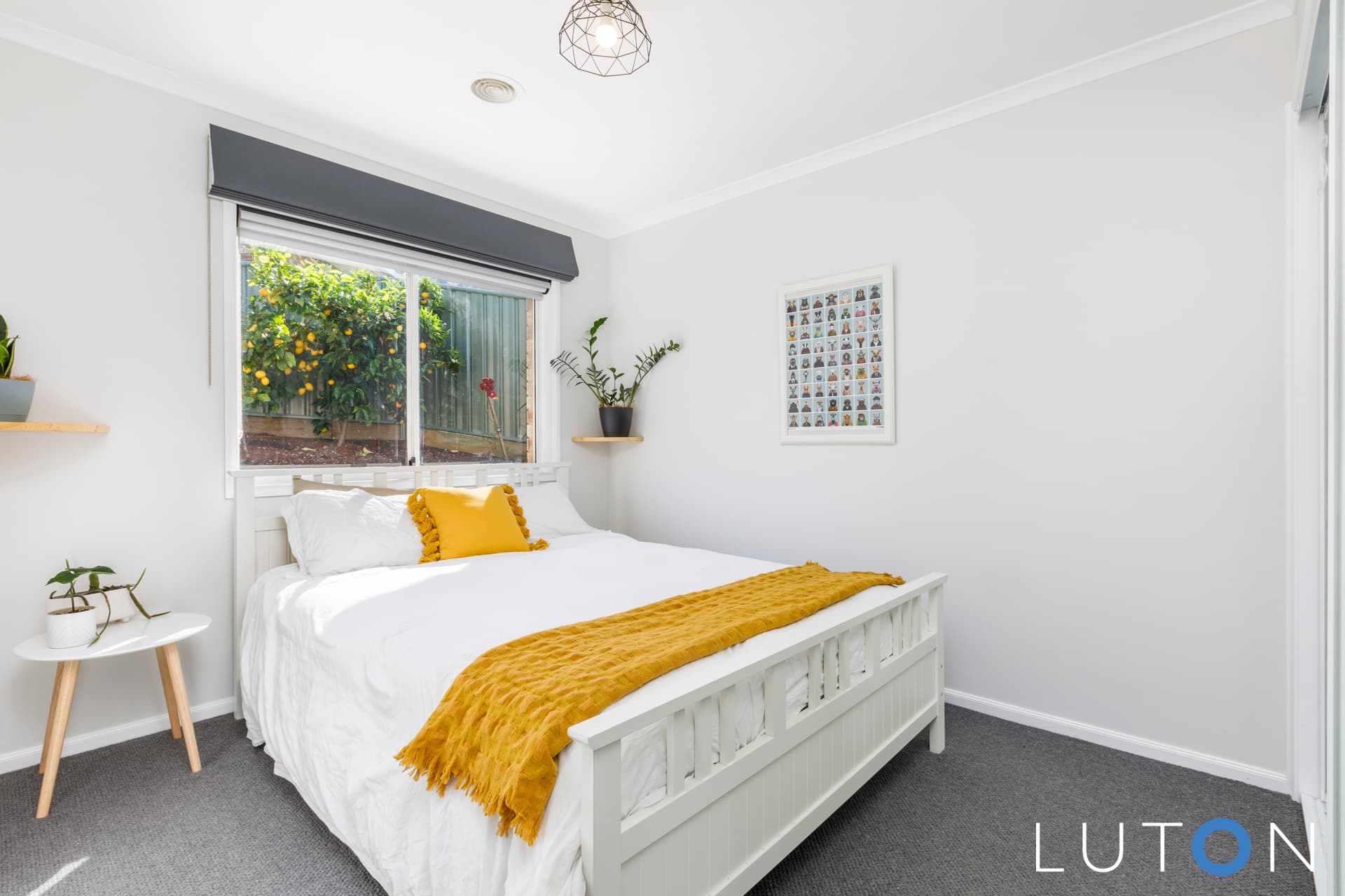 8 Freeman Street, Conder ACT 2906, Conder - Thumbnail 3