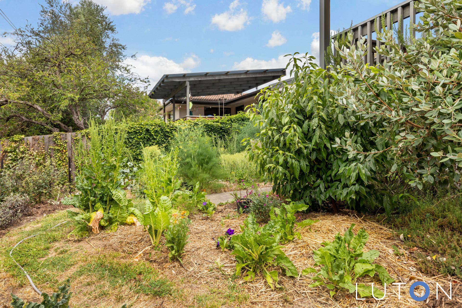 44B Arndell Street, Macquarie ACT 2614, Macquarie - Thumbnail 4