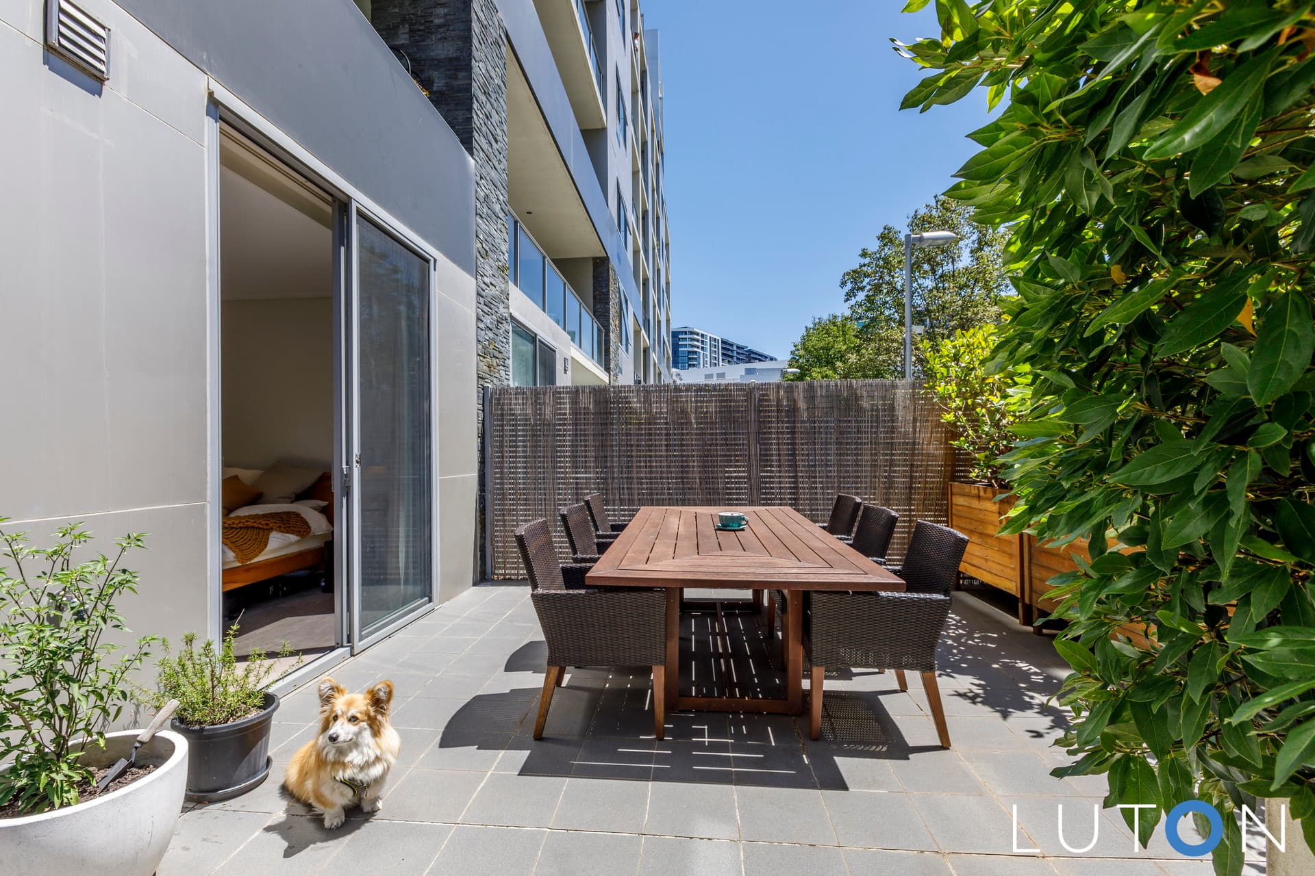62/15 Coranderrk Street, City ACT 2601, City - Thumbnail 3