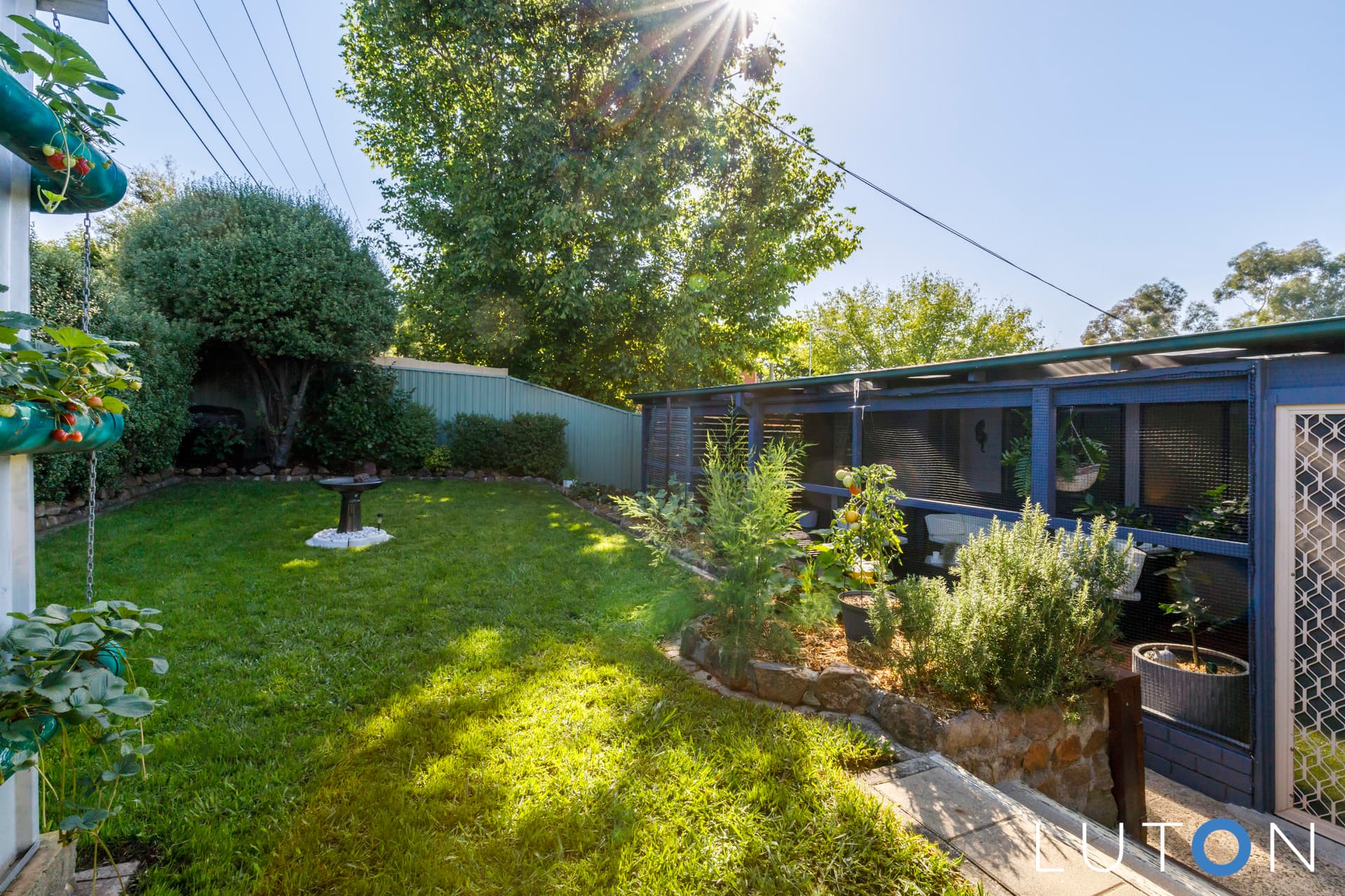 82 Livingston Avenue, Kambah ACT 2902, Kambah - Thumbnail 6