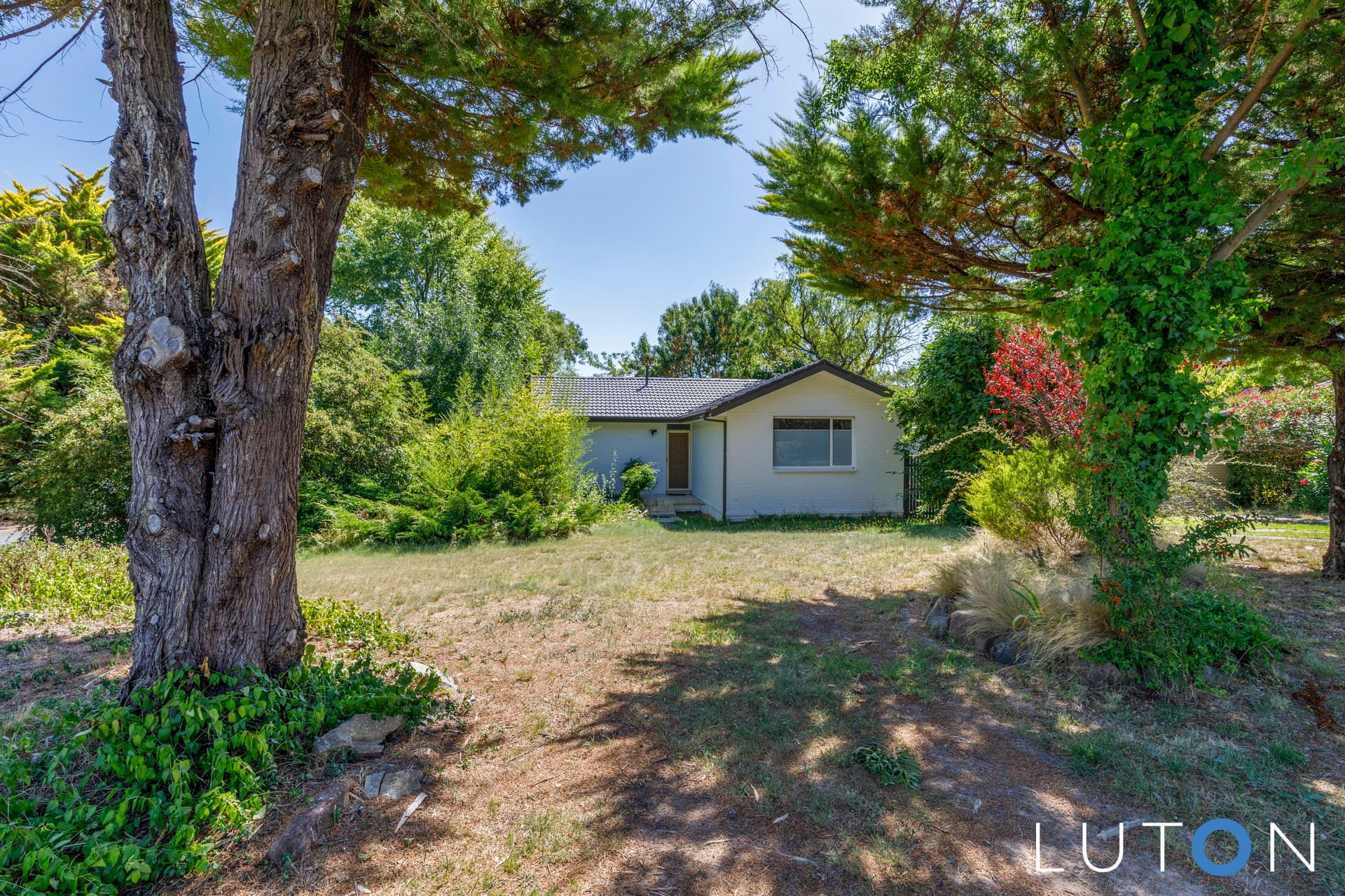 1 Aird Place, Farrer ACT 2607, Farrer - Thumbnail 6