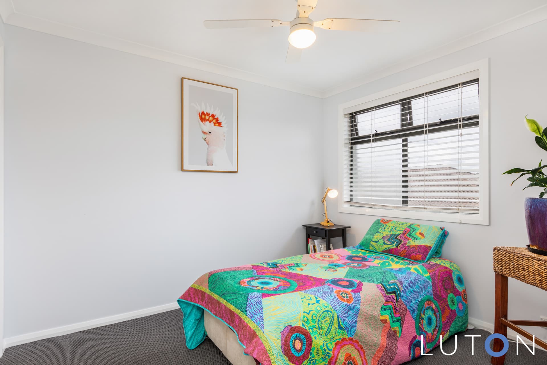 27 Newbold Lane, Gungahlin ACT 2912, Gungahlin - Thumbnail 4
