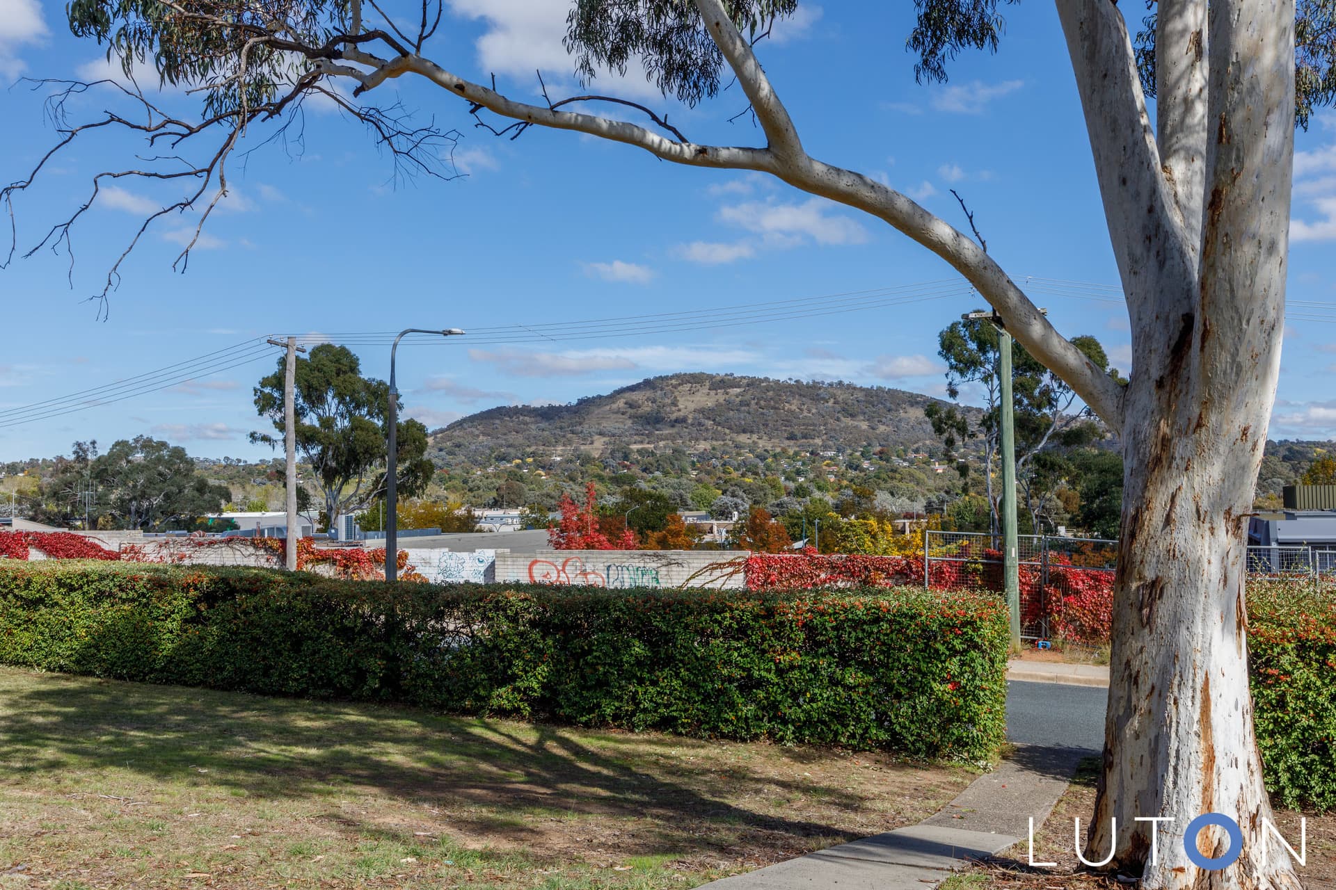 60/4 Wilkins Street, Mawson ACT 2607, Mawson - Thumbnail 7