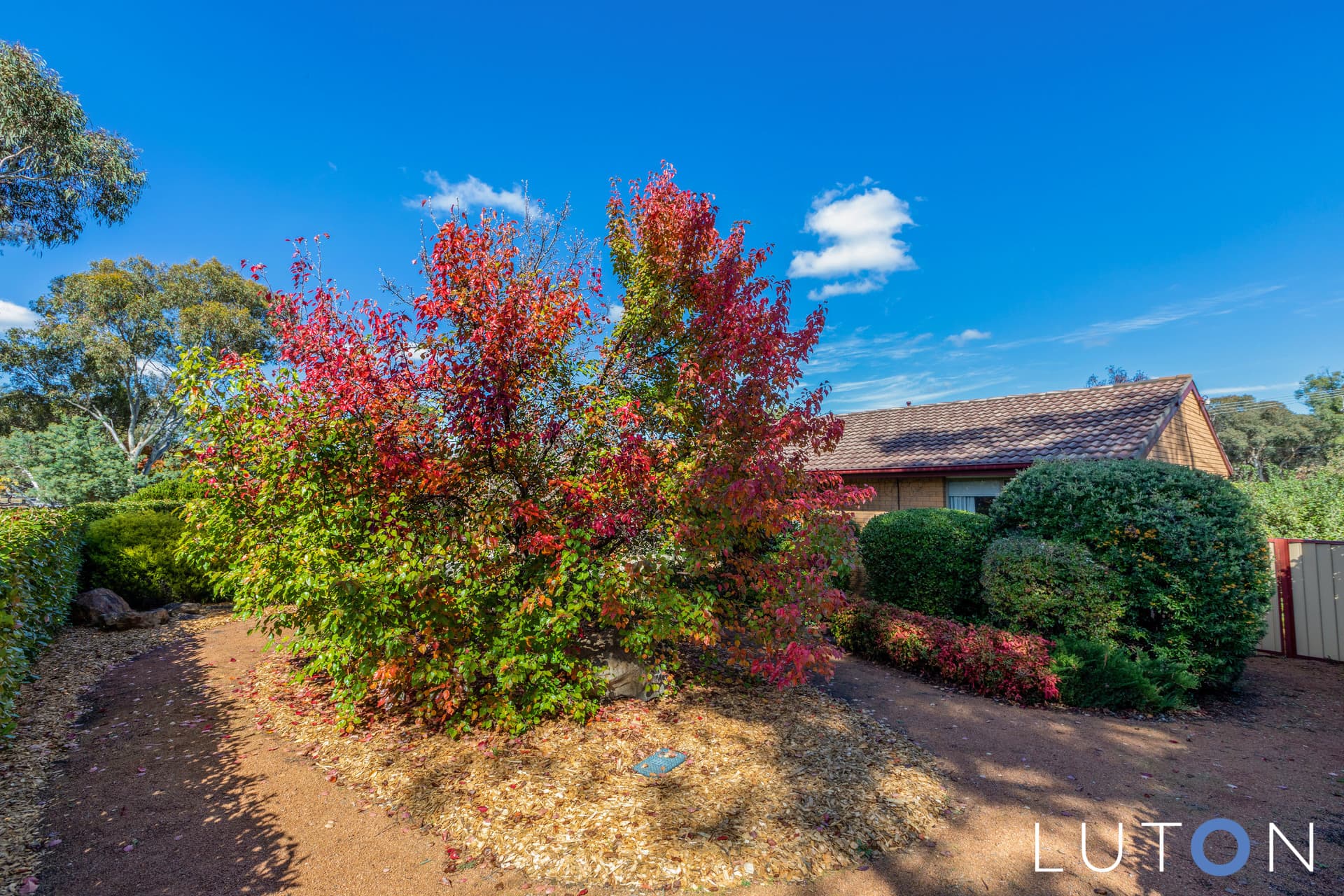 109 Wheeler Crescent, Wanniassa ACT 2903, Wanniassa - Thumbnail 4