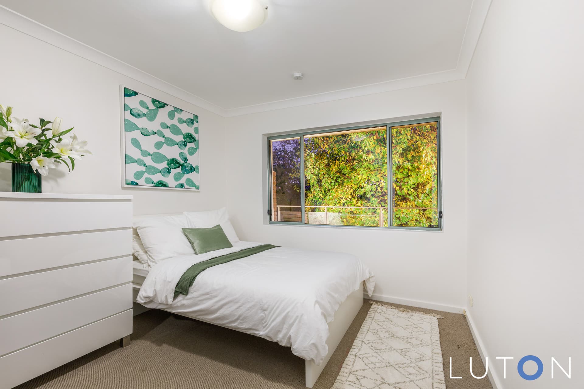 7 Brassey Street, Deakin ACT 2600, Deakin - Thumbnail 3