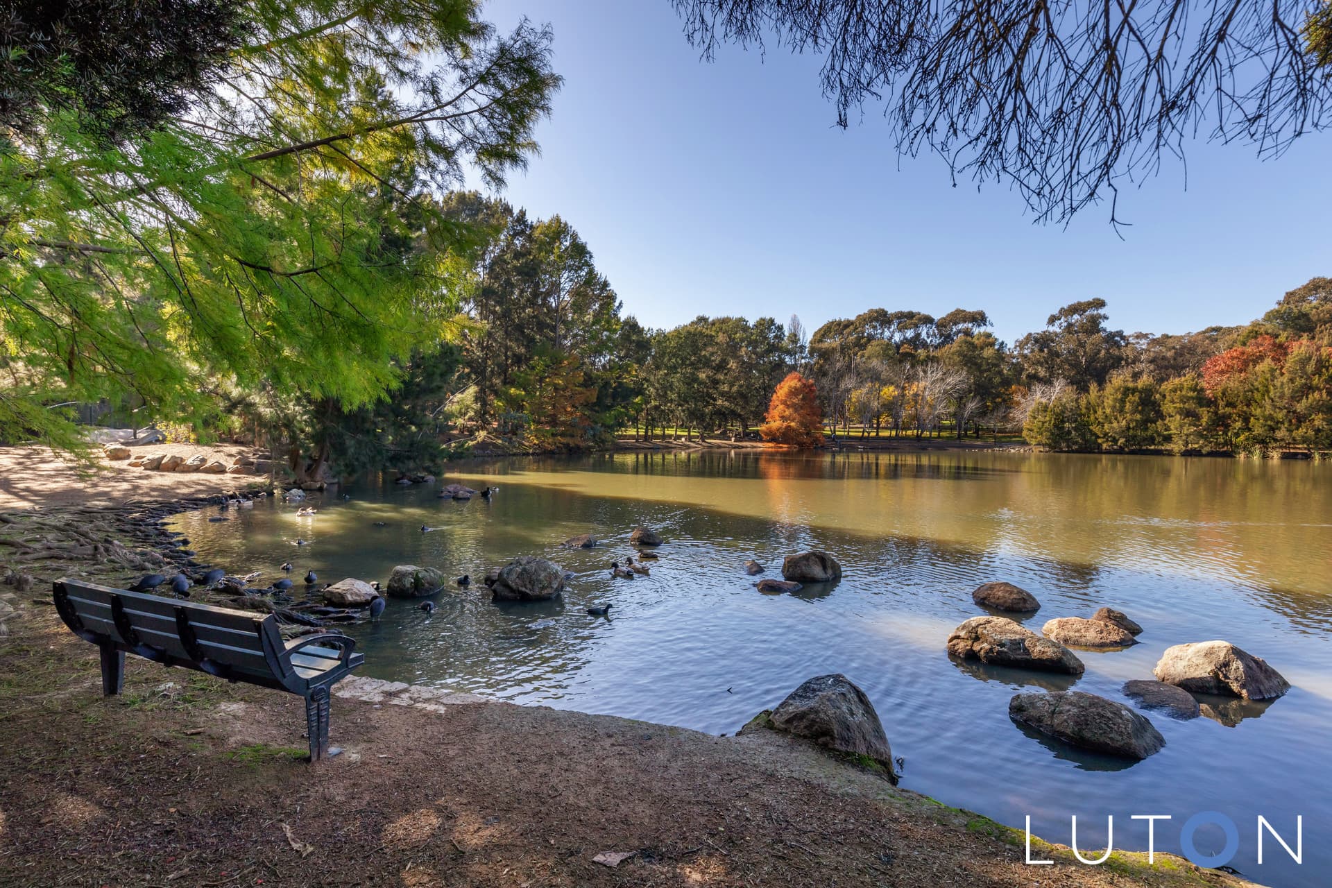 43B/9 Chandler Street, Belconnen ACT 2617, Belconnen - Thumbnail 8
