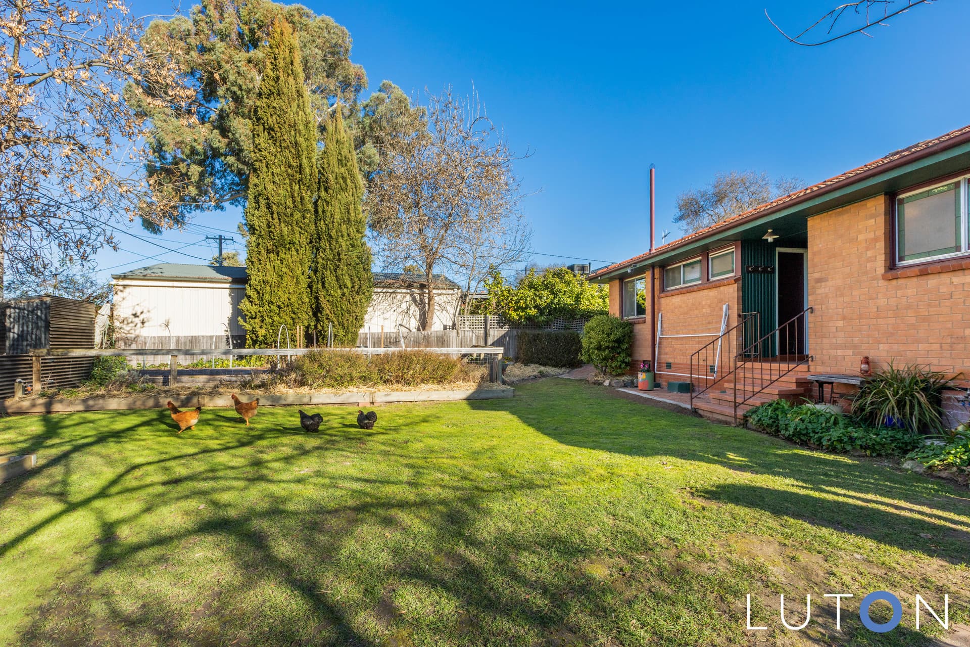 3 Salmond Street, Chifley ACT 2606, Chifley - Thumbnail 5
