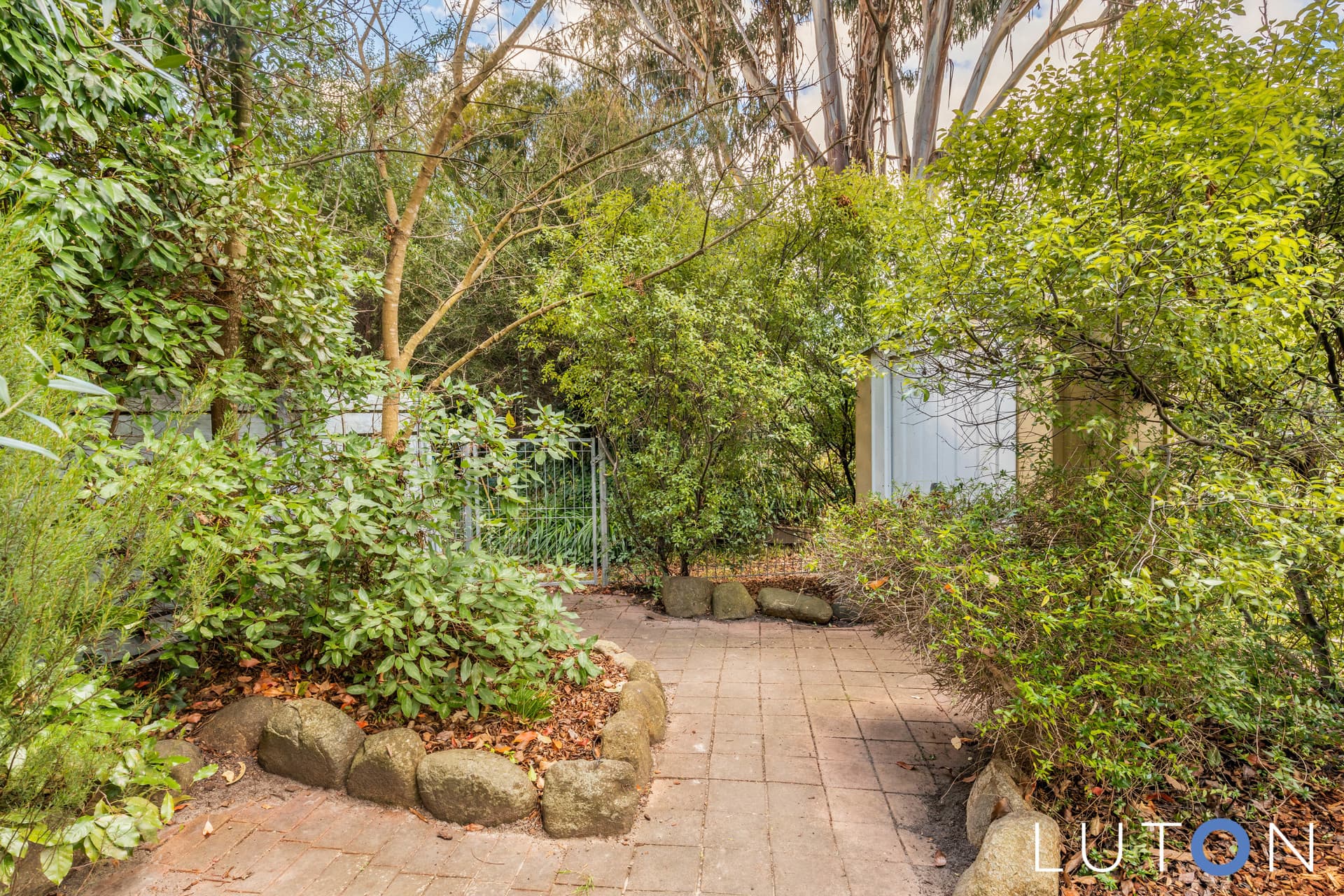 1A Tristania Street, Rivett ACT 2611, Rivett - Thumbnail 4
