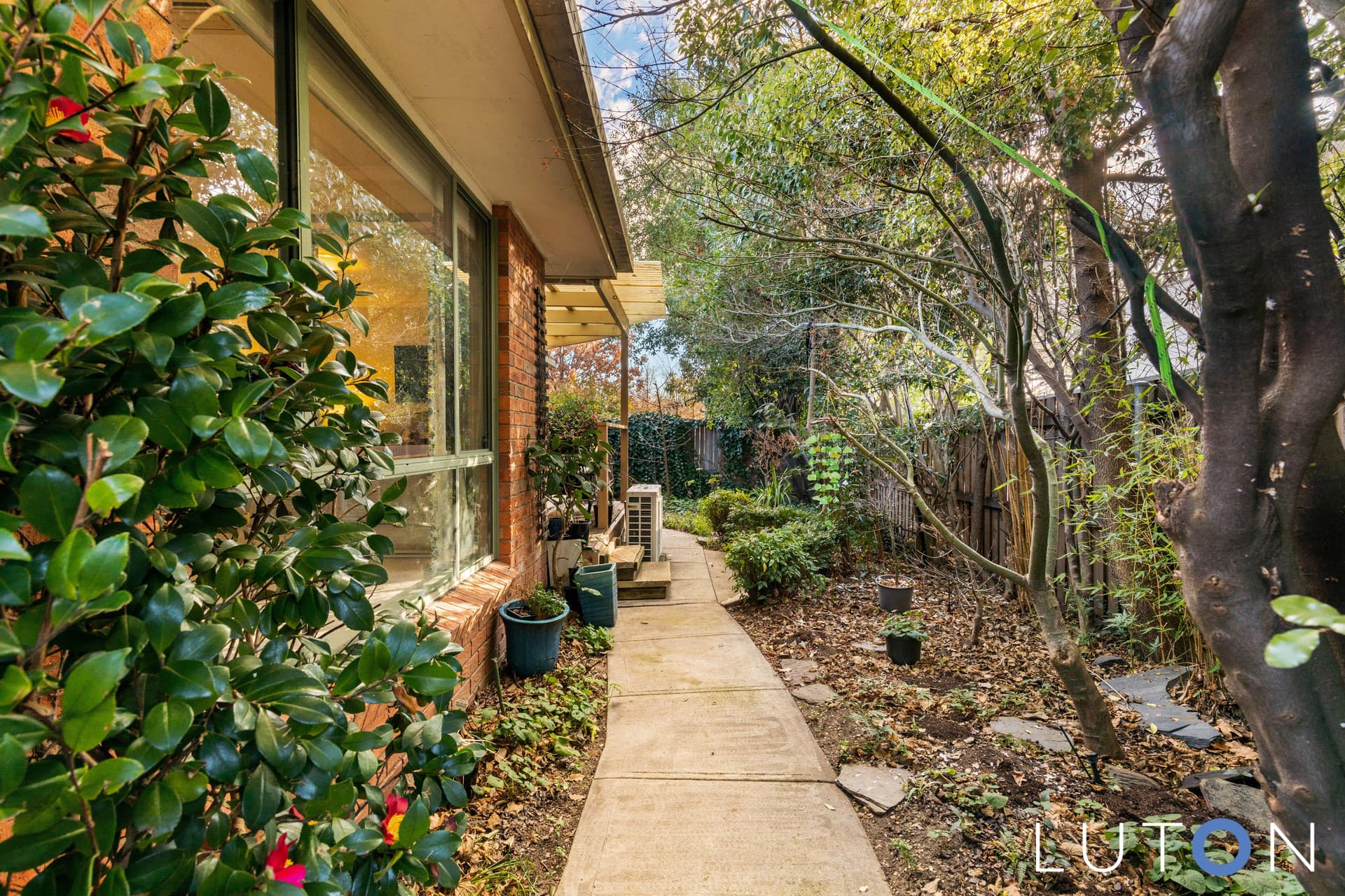 4A Gunn Street, Yarralumla ACT 2600, Yarralumla - Thumbnail 7