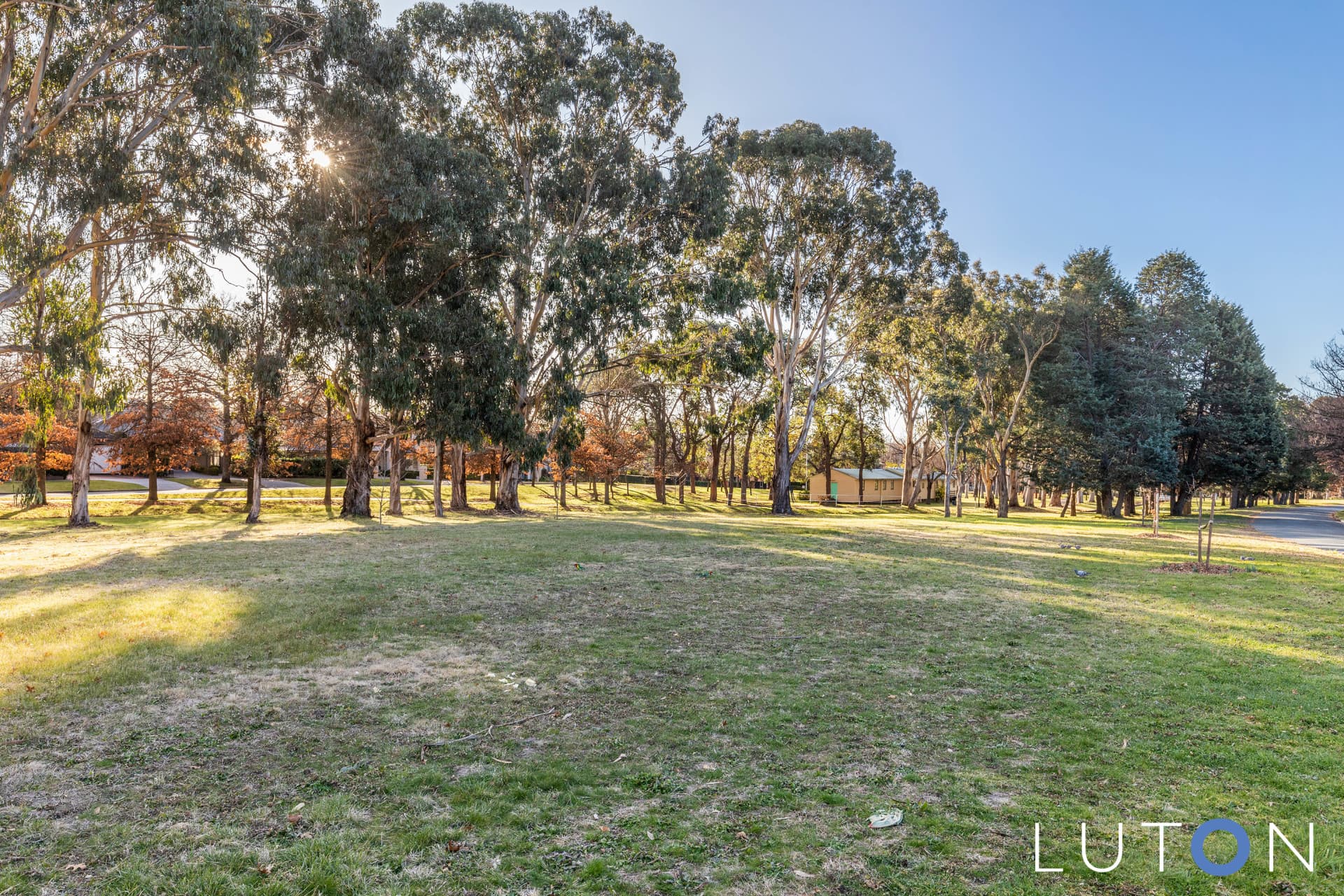 4A Gunn Street, Yarralumla ACT 2600, Yarralumla - Thumbnail 8