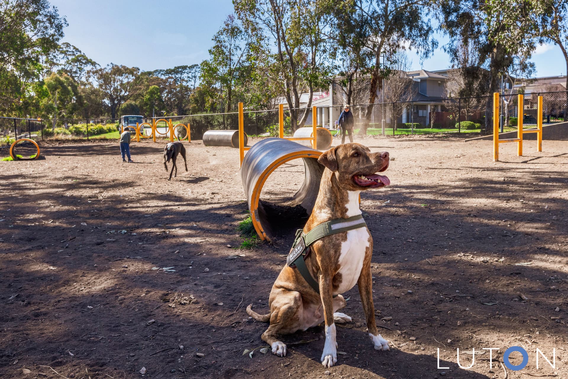5/25 Hurrell Street, Forde ACT 2914, Forde - Thumbnail 6