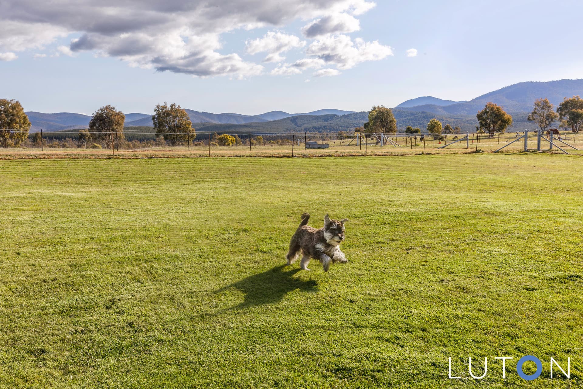 45 Jim Bradley Crescent, Uriarra Village ACT 2611, Uriarra Village - Thumbnail 7