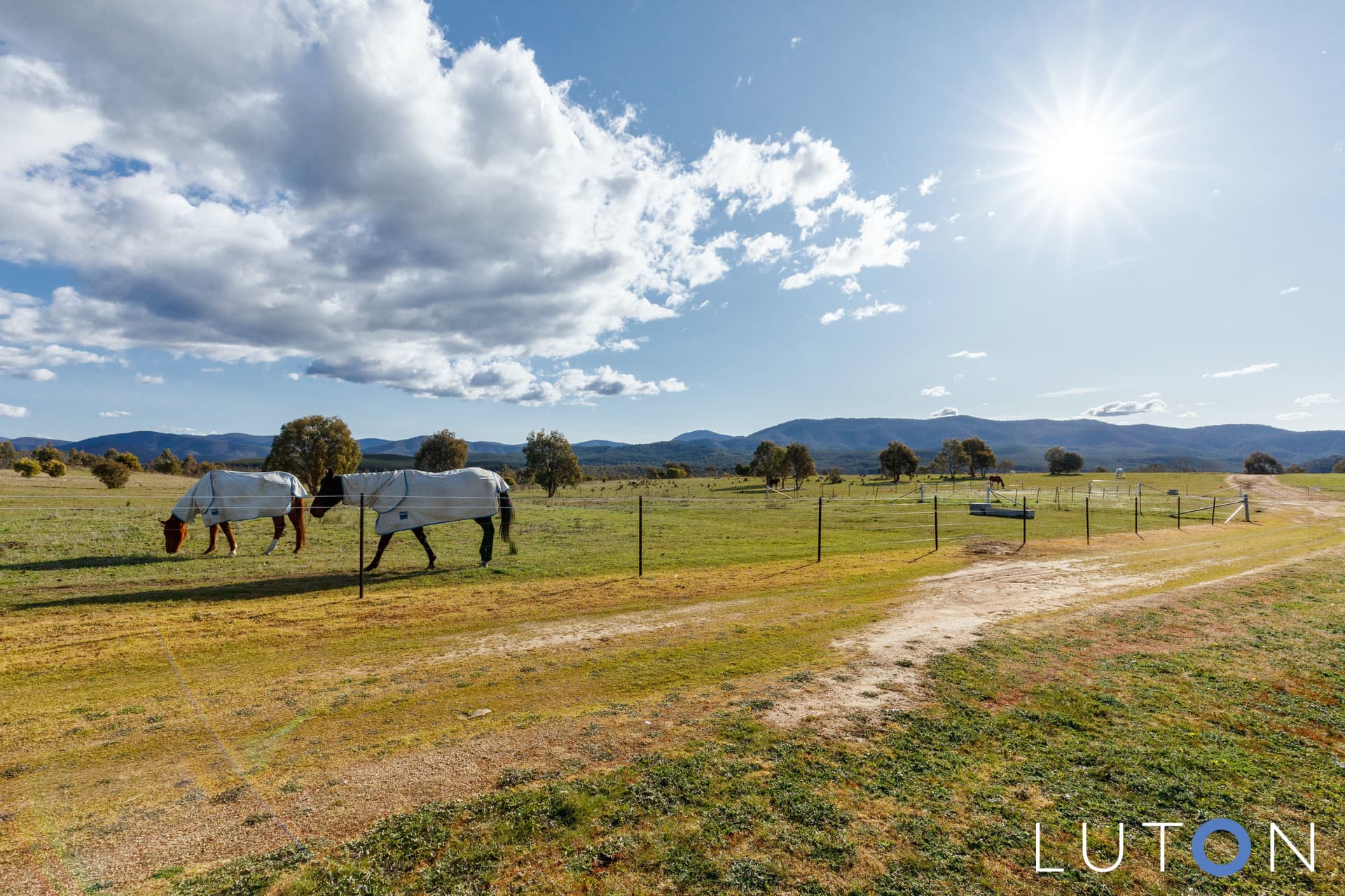 45 Jim Bradley Crescent, Uriarra Village ACT 2611, Uriarra Village - Thumbnail 8