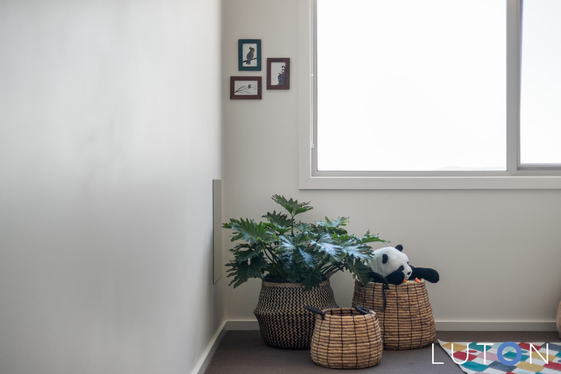 4 Ingold Street, Coombs ACT 2611, Coombs - Thumbnail 3