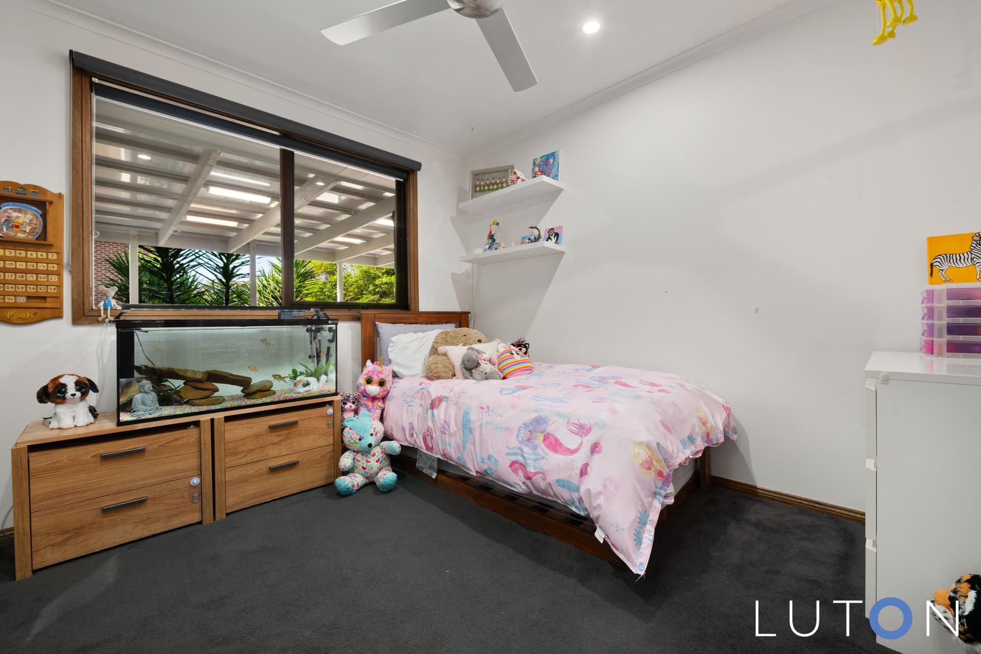 7 Muntz Street, Chisholm ACT 2905, Chisholm - Thumbnail 5