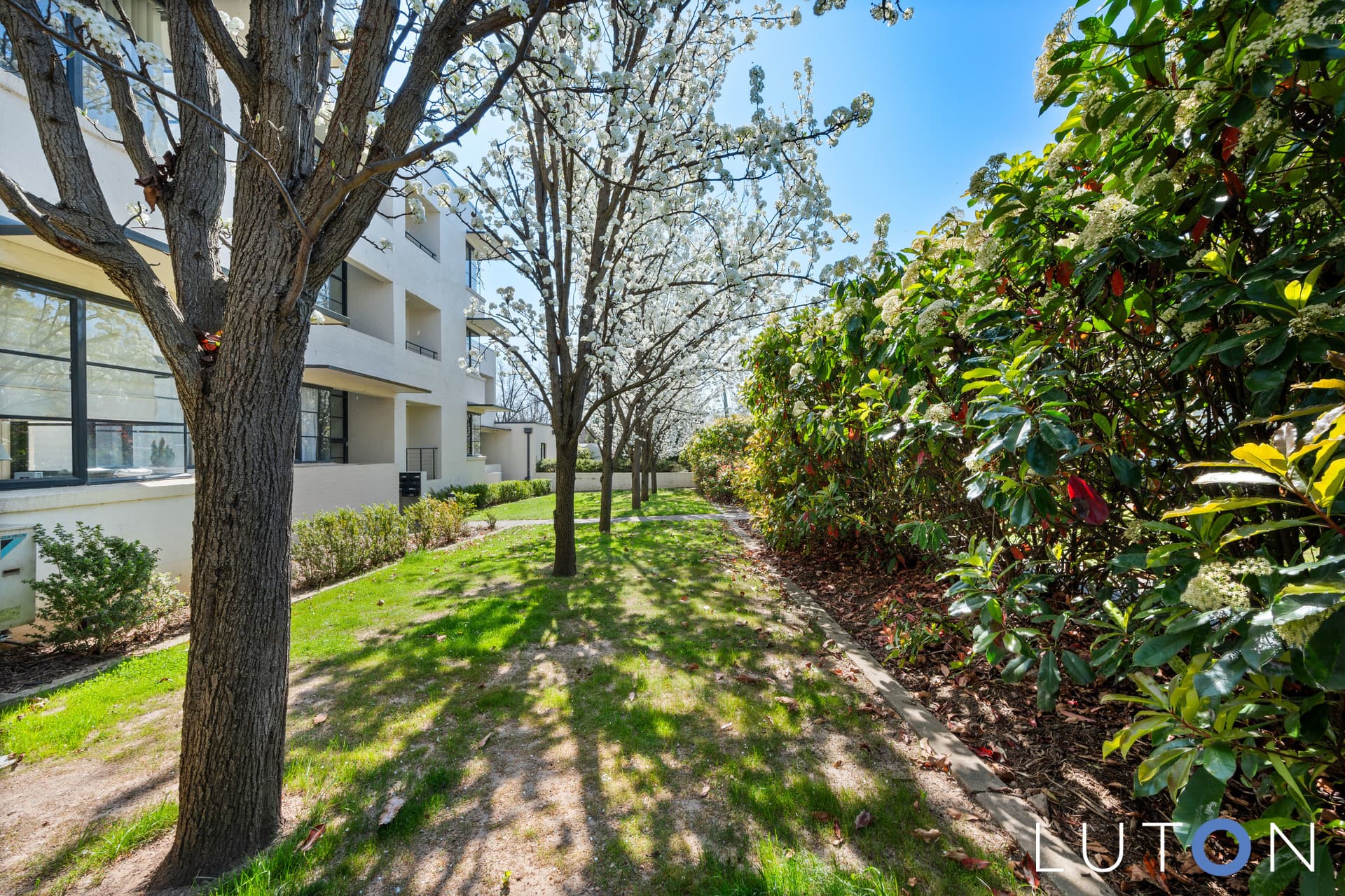 14/3 Burke Crescent, Griffith ACT 2603, Griffith - Thumbnail 8