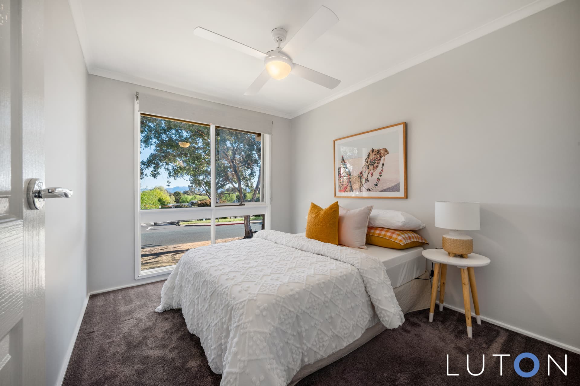 14 Jauncey Court, Charnwood ACT 2615, Charnwood - Thumbnail 4