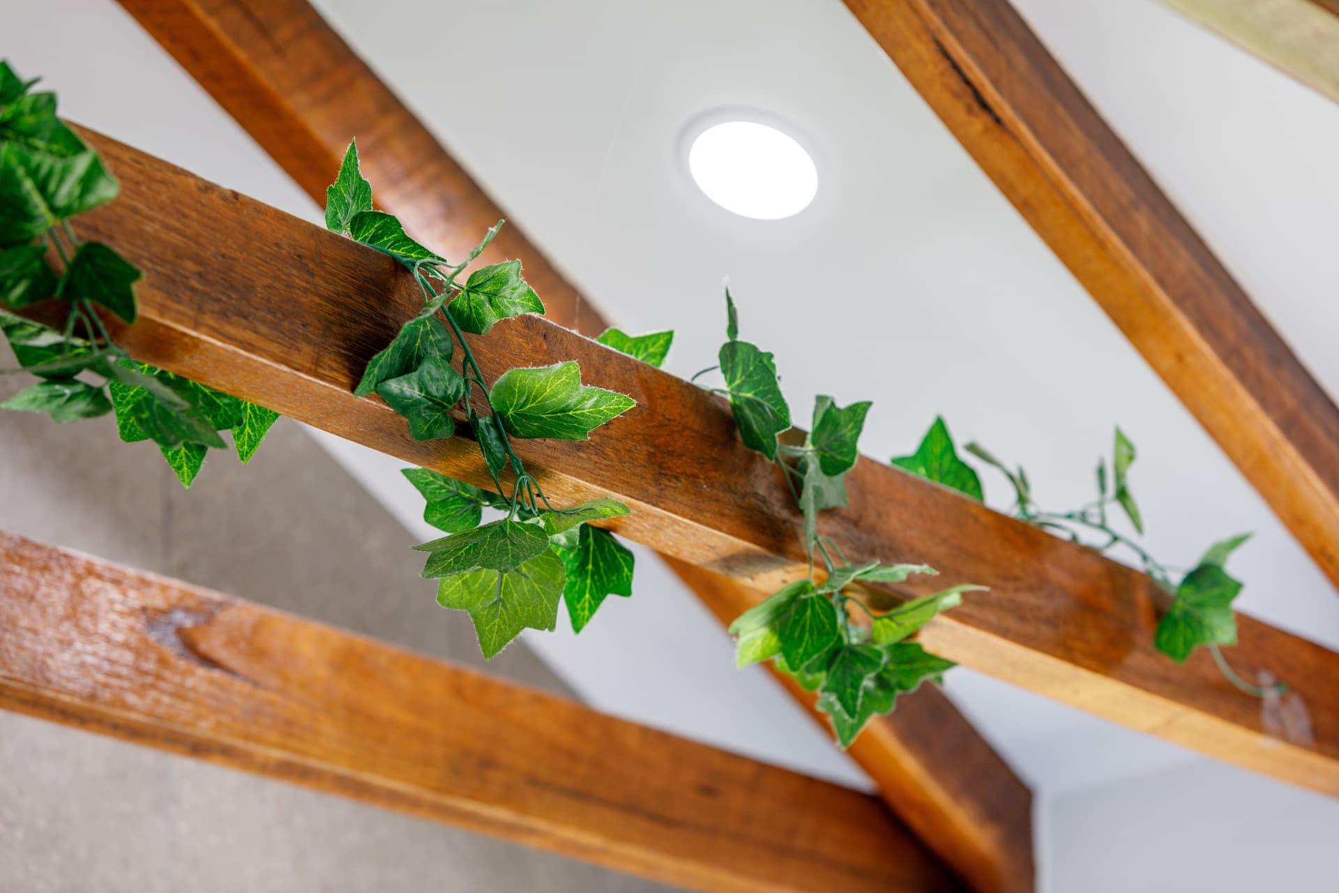 66 Hannan Crescent, Ainslie ACT 2602, Ainslie - Thumbnail 7