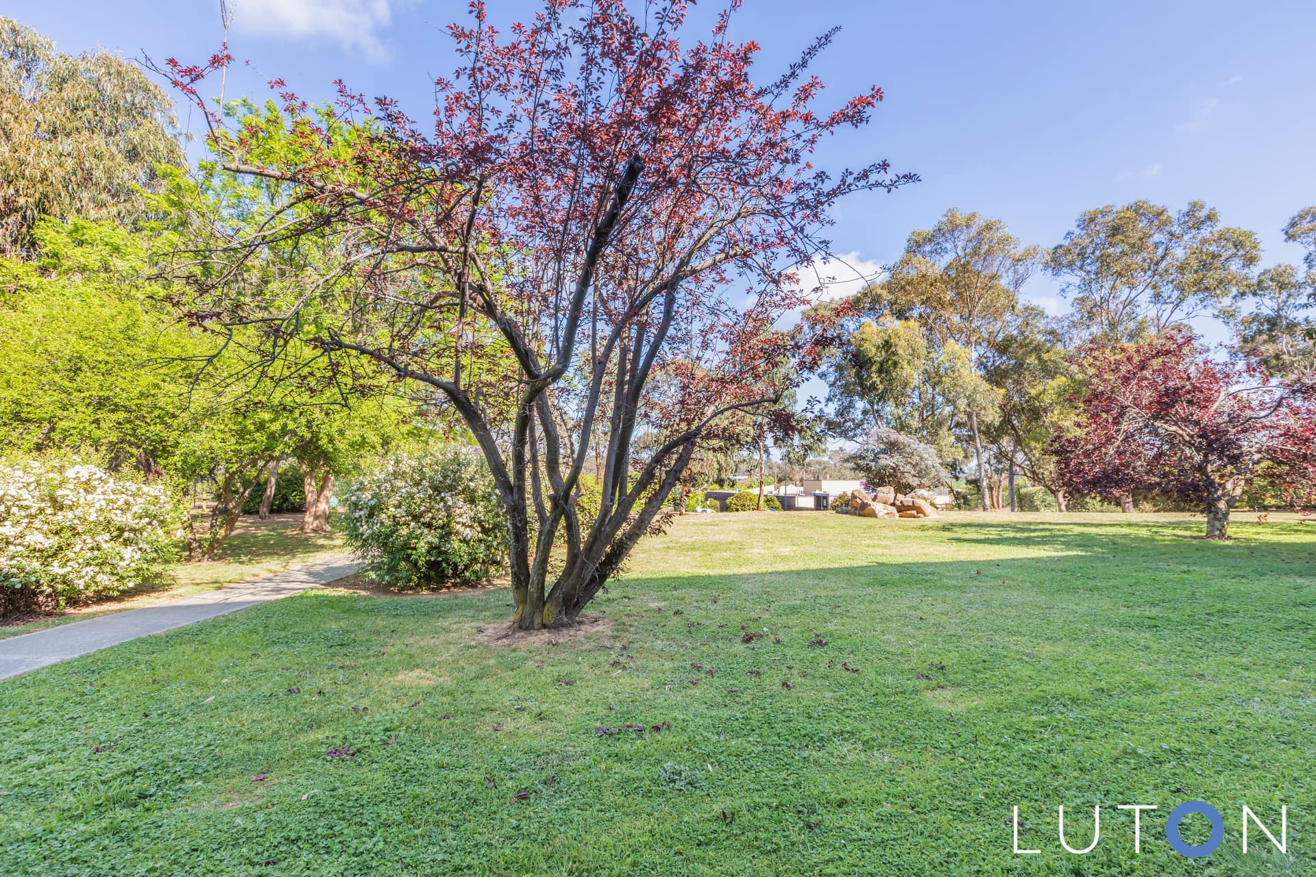 18/6 Wilkins Street, Mawson ACT 2607, Mawson - Thumbnail 5