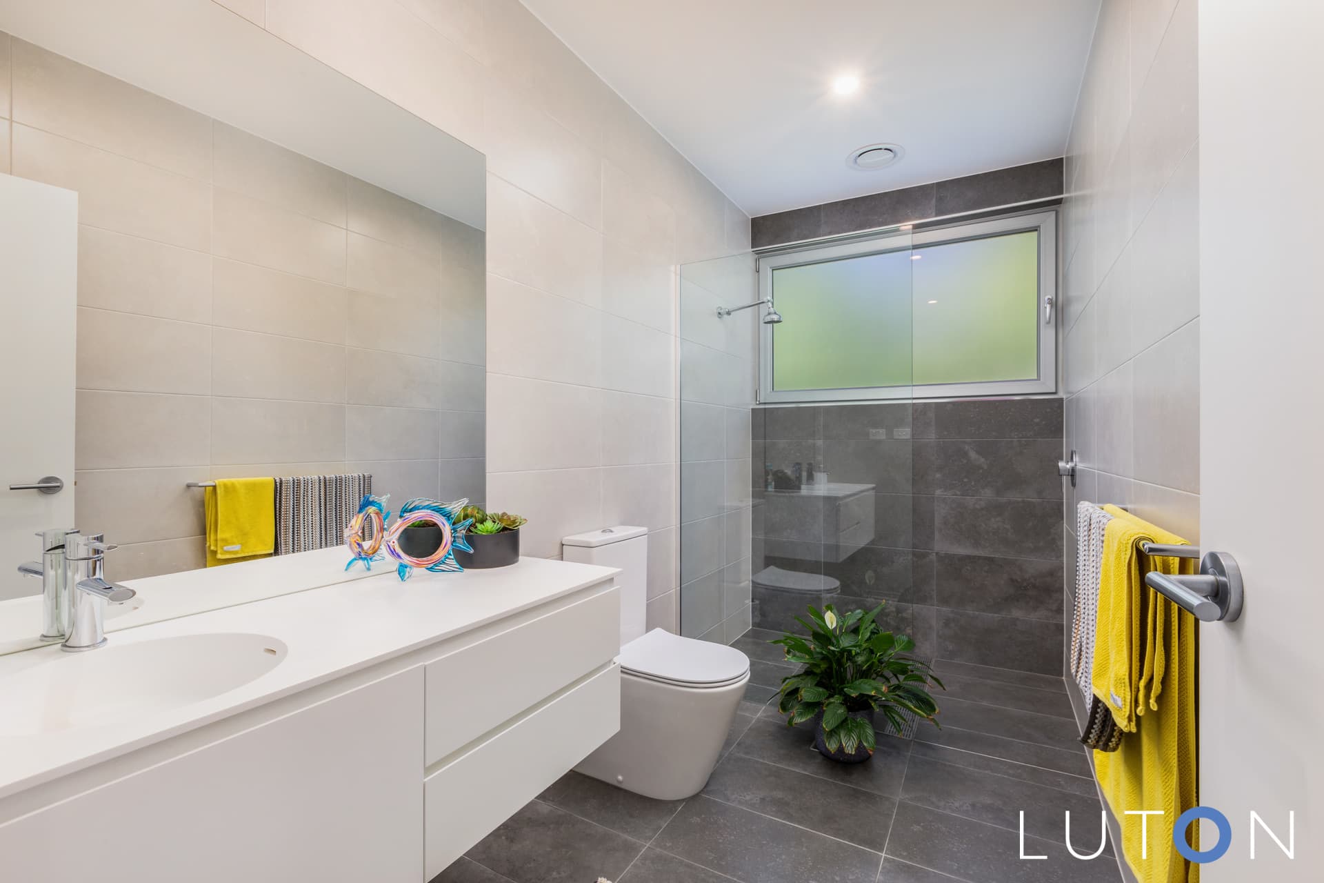 4A Philp Place, Curtin ACT 2605, Curtin - Thumbnail 6