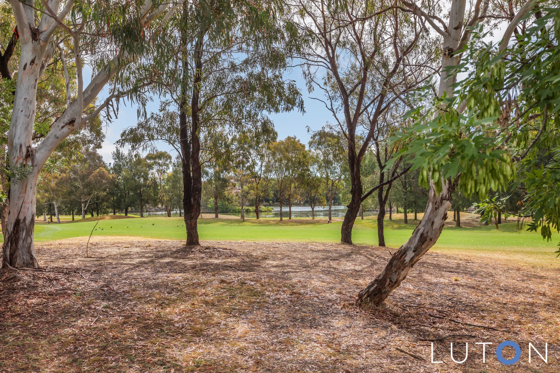 25 Rosella Street, Nicholls ACT 2913, Nicholls - Thumbnail 6