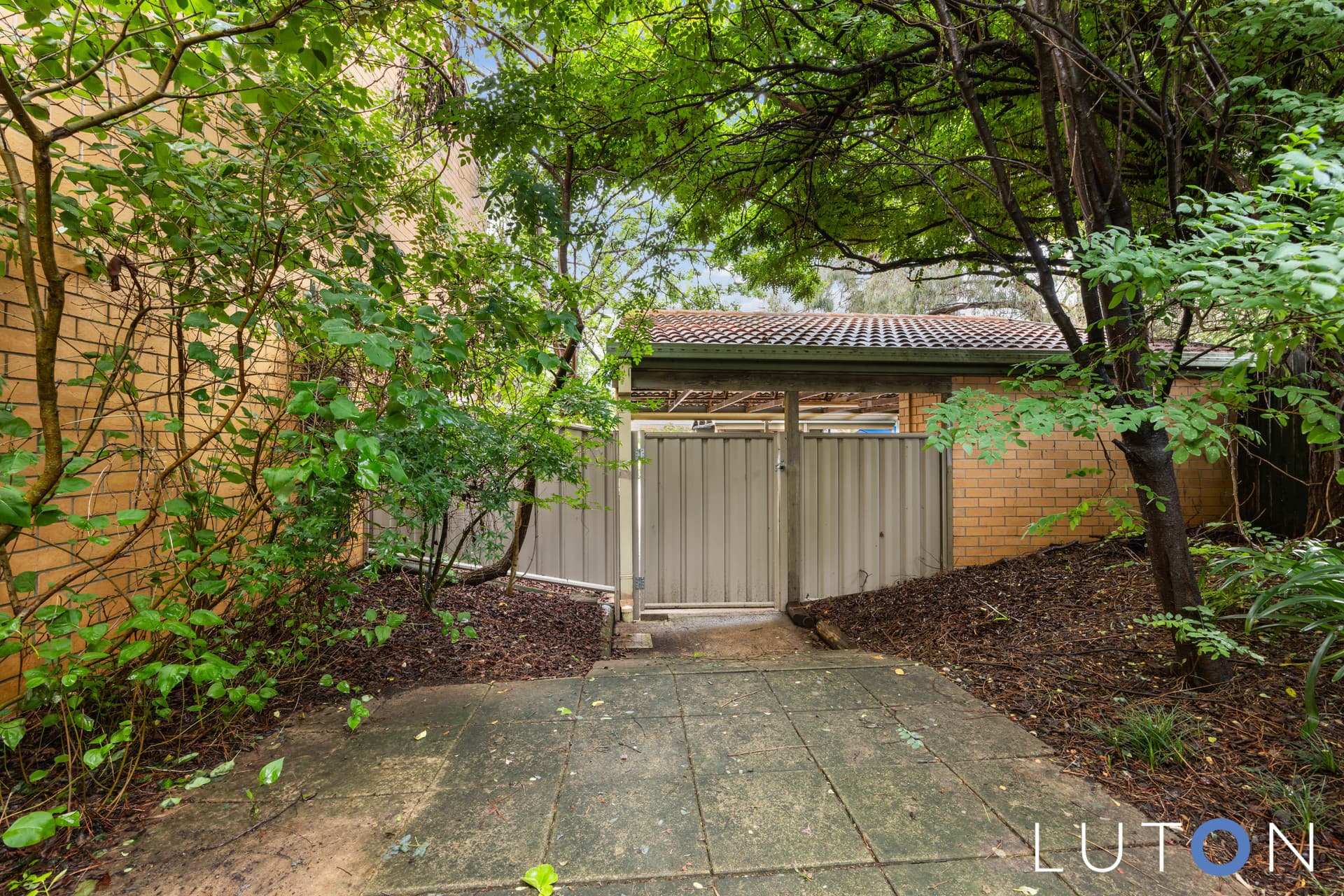 2/3 Solly Place, Belconnen ACT 2617, Belconnen - Thumbnail 8
