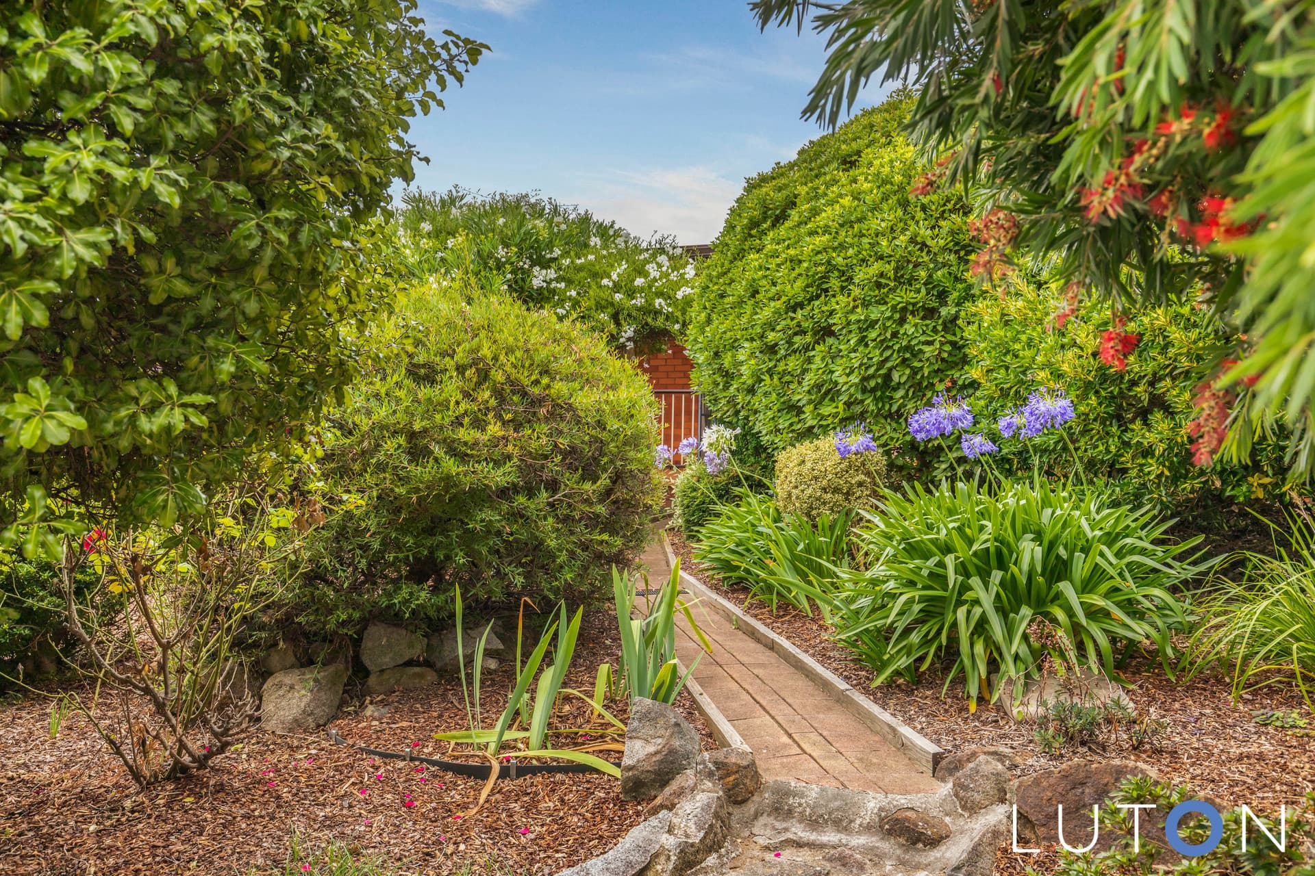 34 McDougall Street, Charnwood ACT 2615, Charnwood - Thumbnail 8