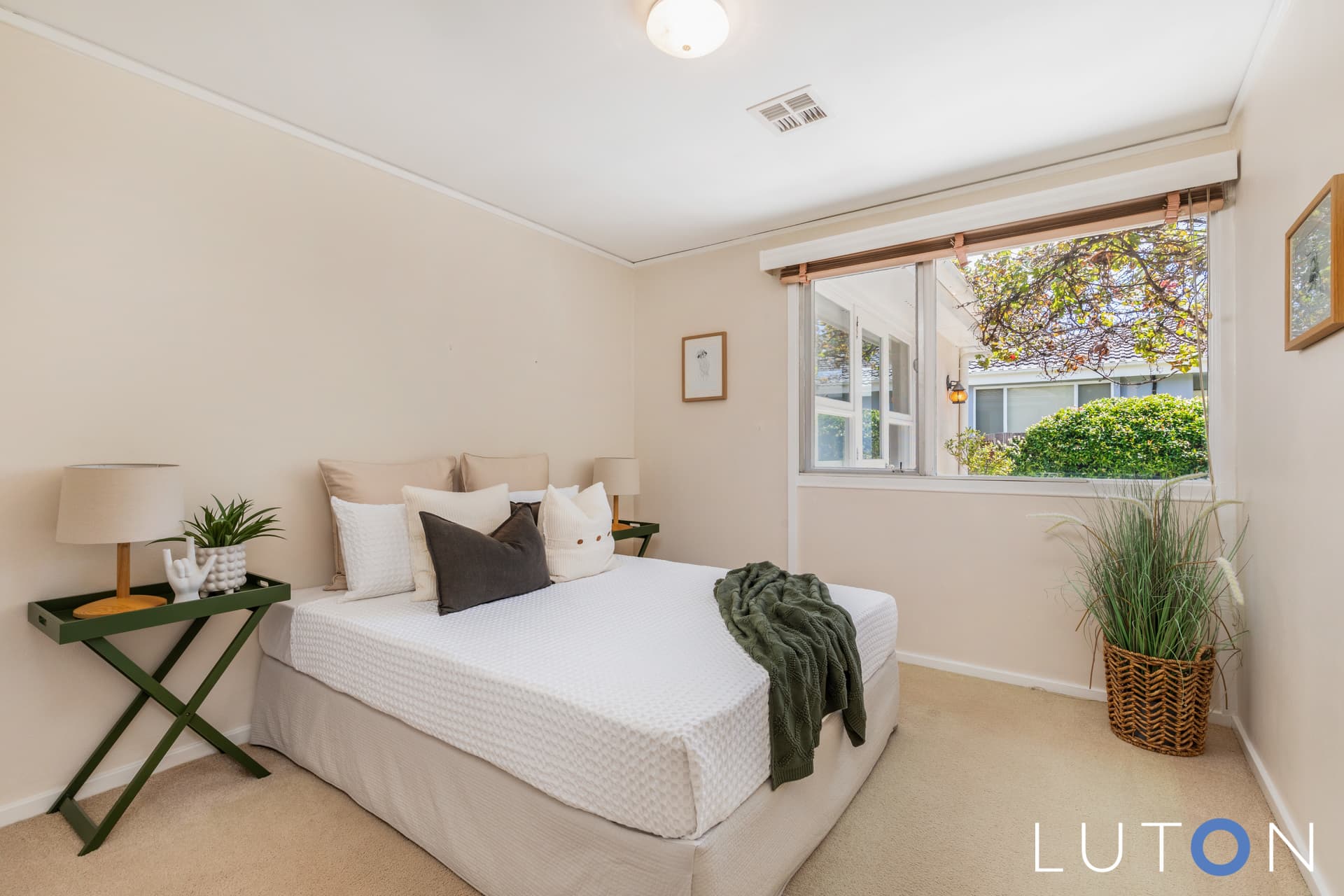 16 Carstensz Street, Griffith ACT 2603, Griffith - Thumbnail 6