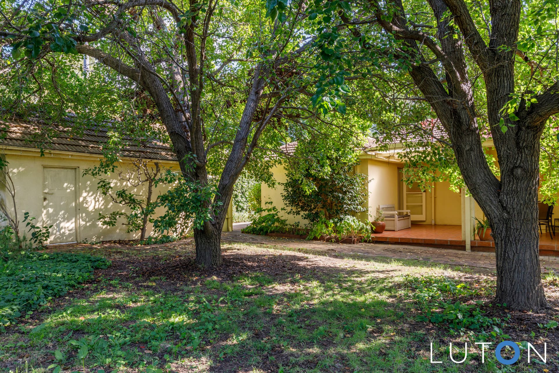 26 Shortland Crescent, Ainslie ACT 2602, Ainslie - Thumbnail 6