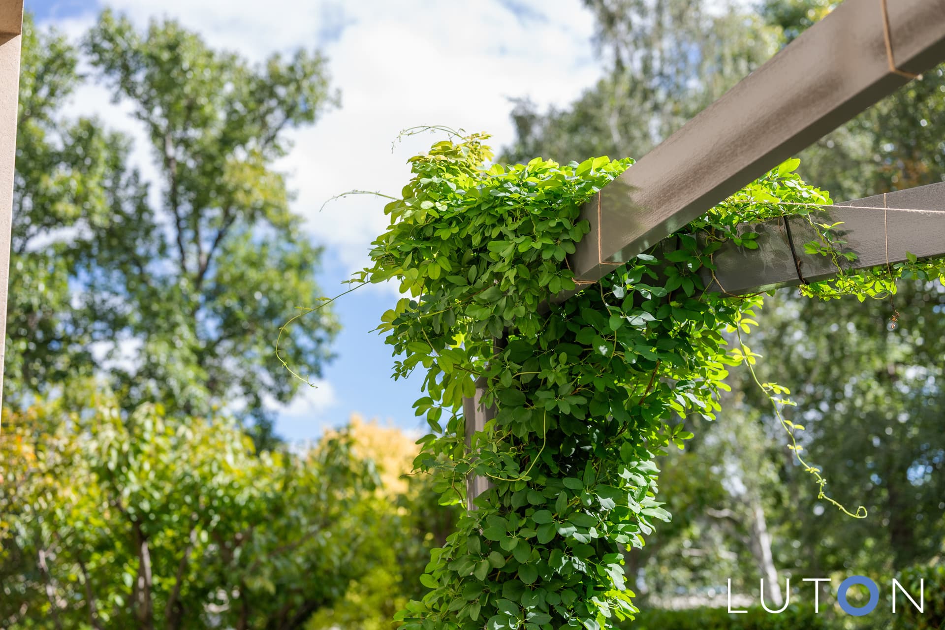 1/9 Jardine Street, Kingston ACT 2604, Kingston - Thumbnail 5