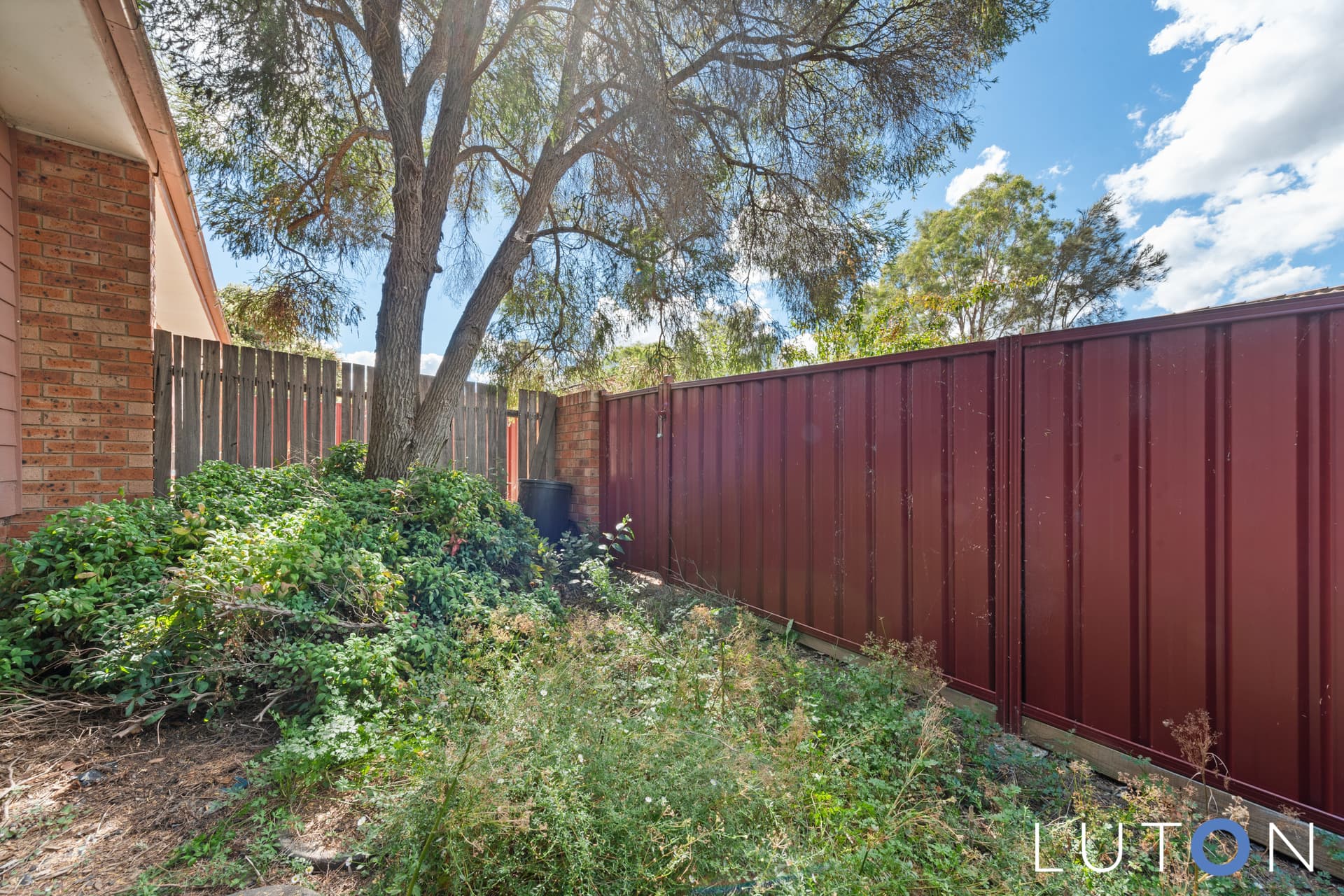 26 Fred Williams Crescent, Lyneham ACT 2602, Lyneham - Thumbnail 7