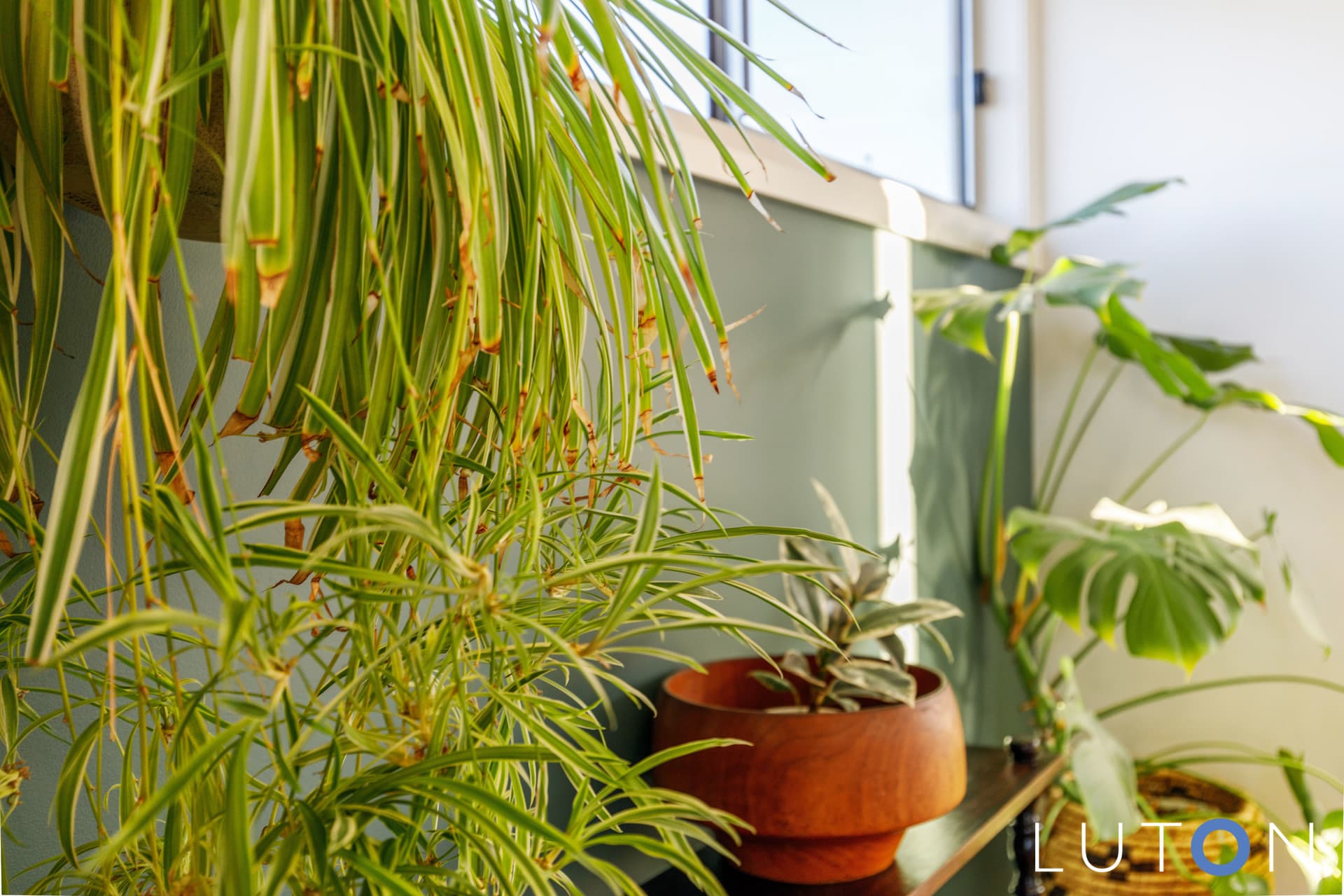 28/90 John Gorton Drive, Coombs ACT 2611, Coombs - Thumbnail 7