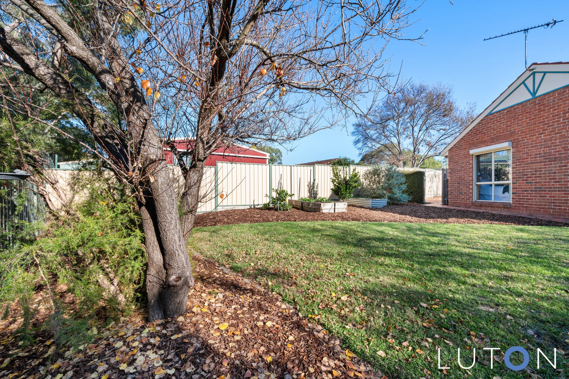 6 Mullens Place, Calwell ACT 2905, Calwell - Thumbnail 8