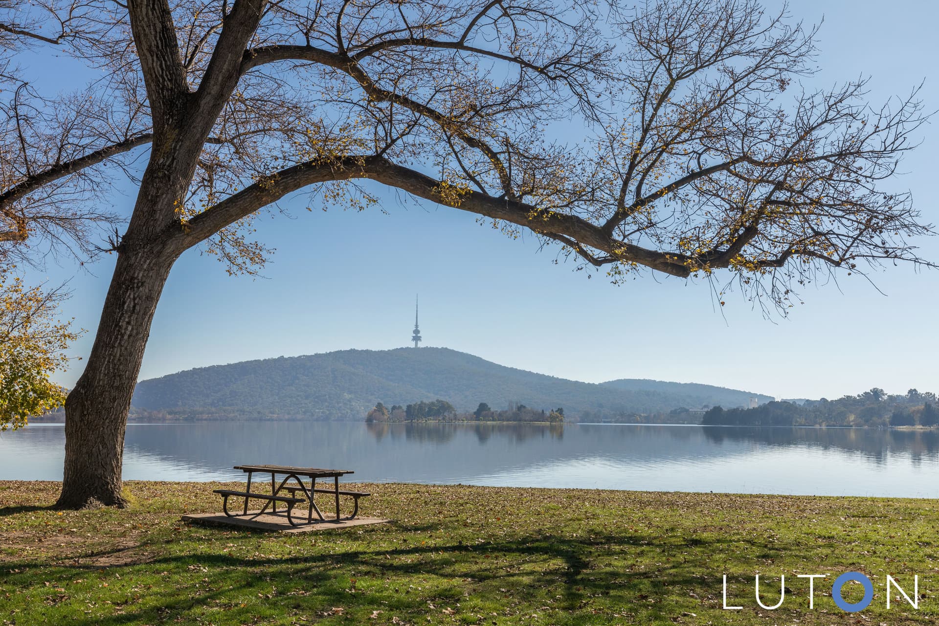 18 Hooker Street, Yarralumla ACT 2600, Yarralumla - Thumbnail 7