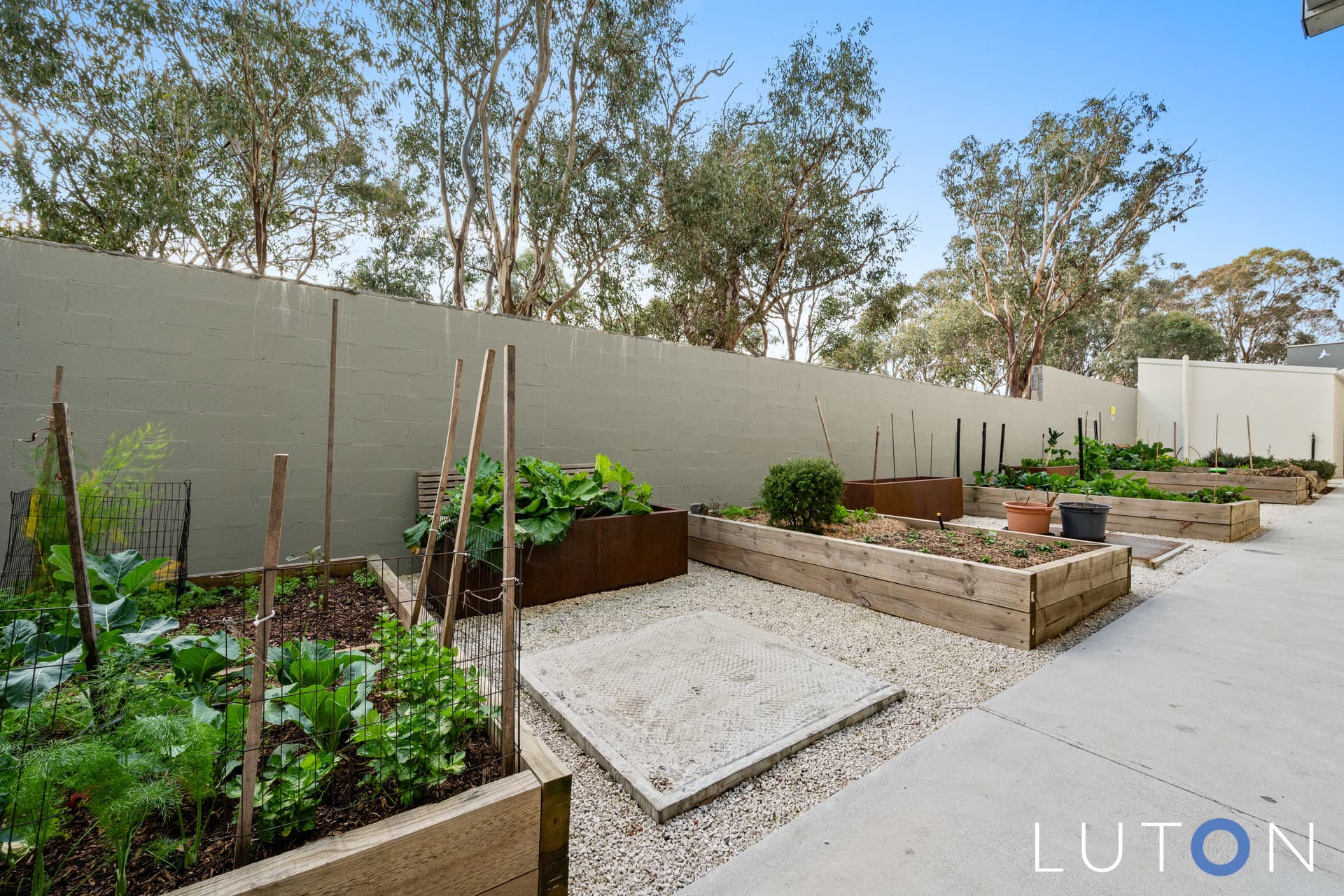 112/100 Swain Street, Gungahlin ACT 2912, Gungahlin - Thumbnail 5